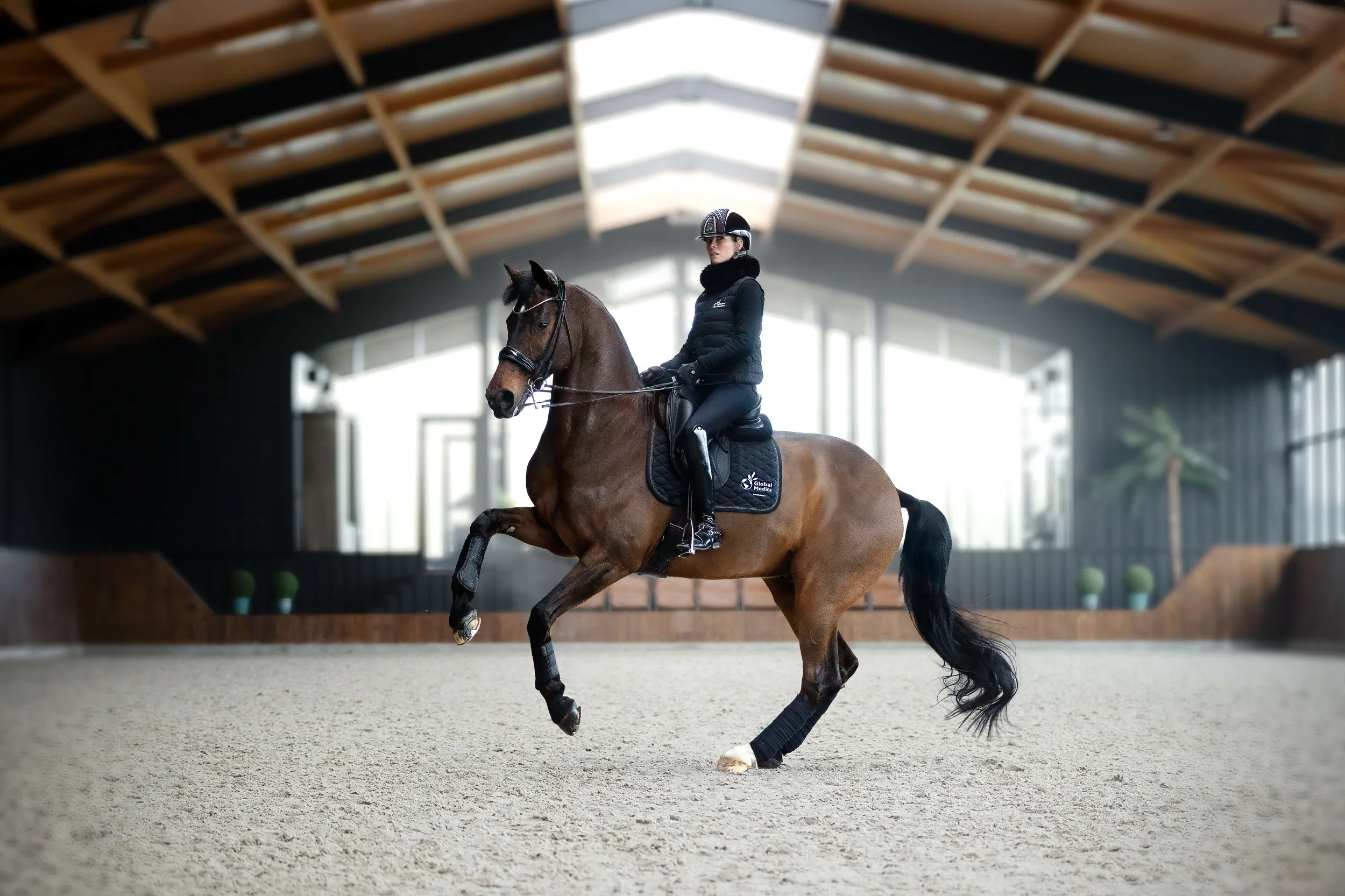 Alexa Fairchild: “We Owe Our Horses Everything”