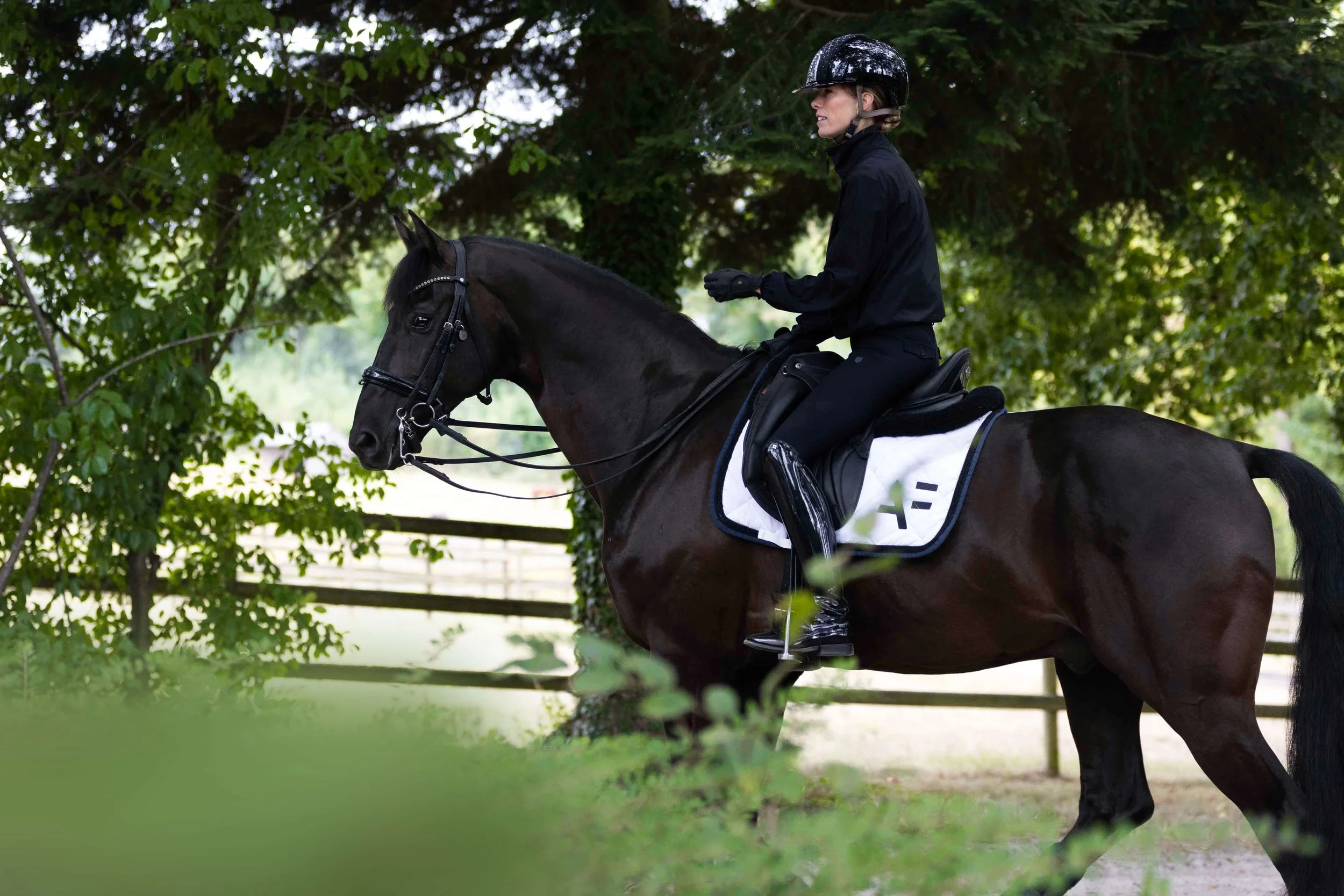 AFairchild_Interview_LifeintheSddle_Dressage4.jpeg