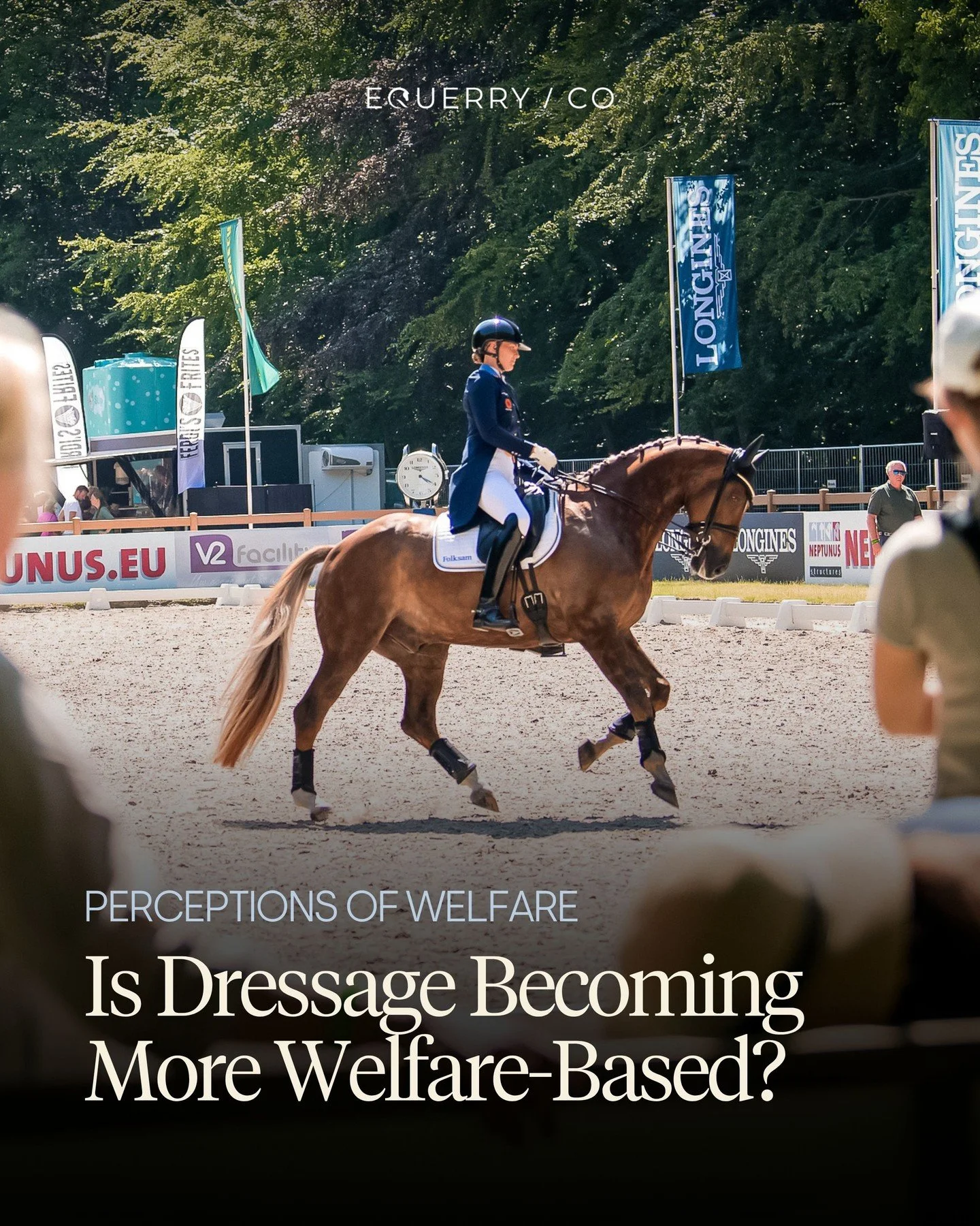 Data shared from the International Dressage Officials Club in a report by Hans Christian Matthiesen suggests that dressage judging is gradually evolving in a more welfare-conscious direction.

In our own research on perceptions of positive dressage i