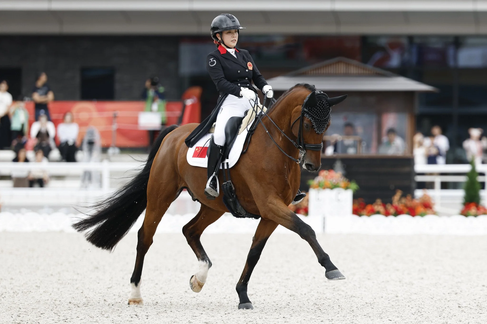 China Take a First Dressage Team Gold as 0.3% Separates the Individual Podium