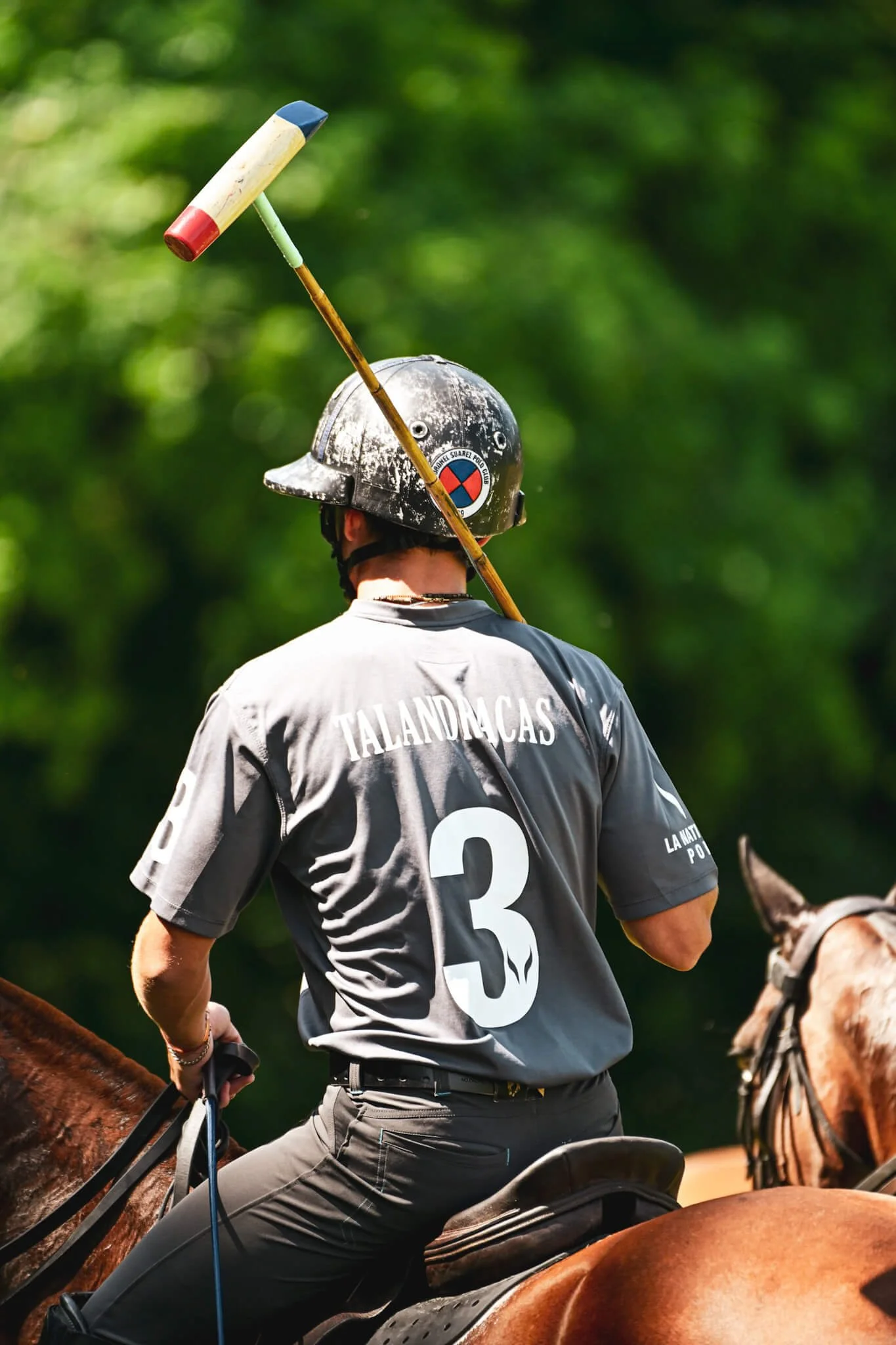 Sport-Polo-Chantilly-Lifestyle-EQuerry_Magazine.JPG