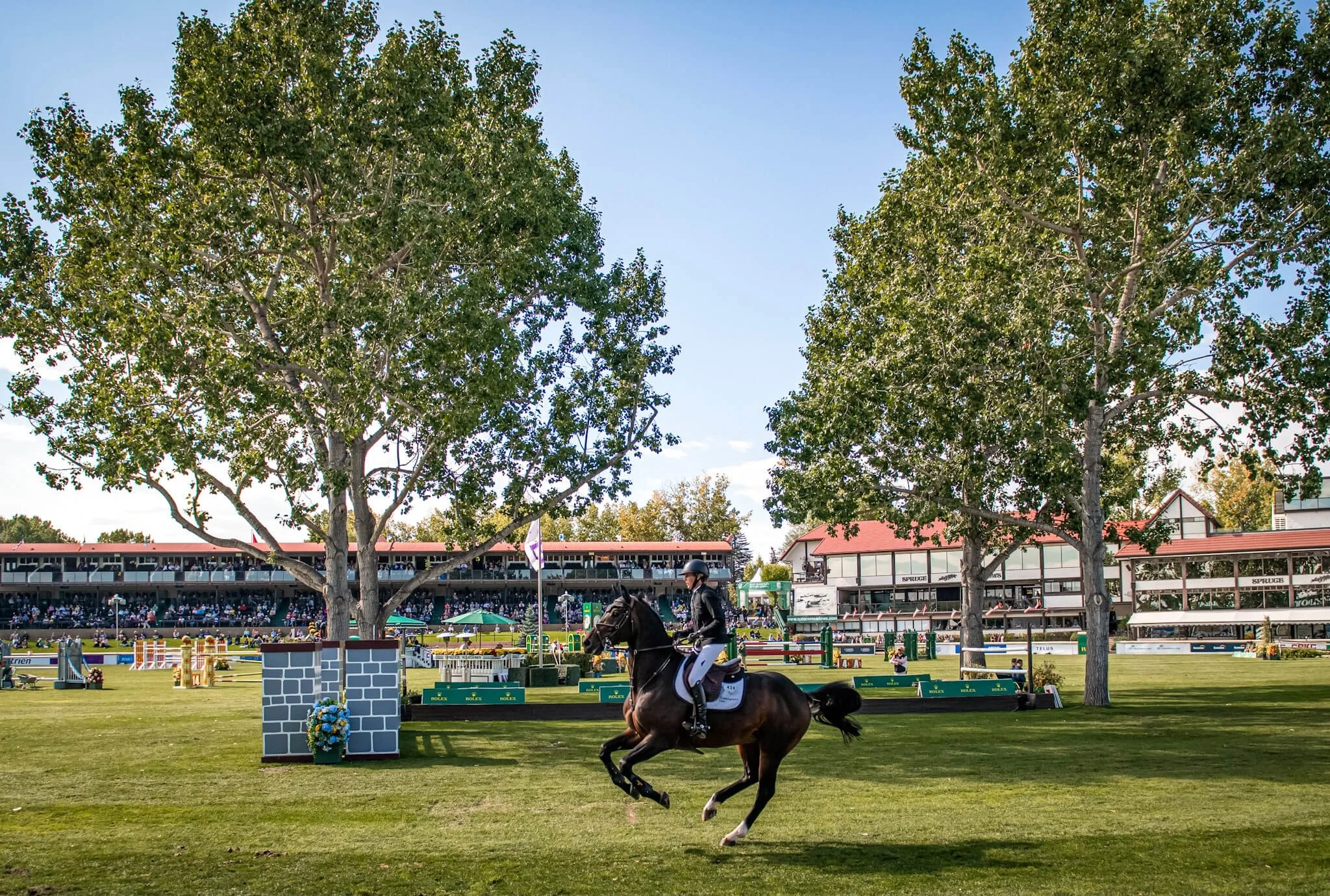 Sport-Showjumping-vonEssen-CAD-SPruce-EQuerry_Magazine.jpg
