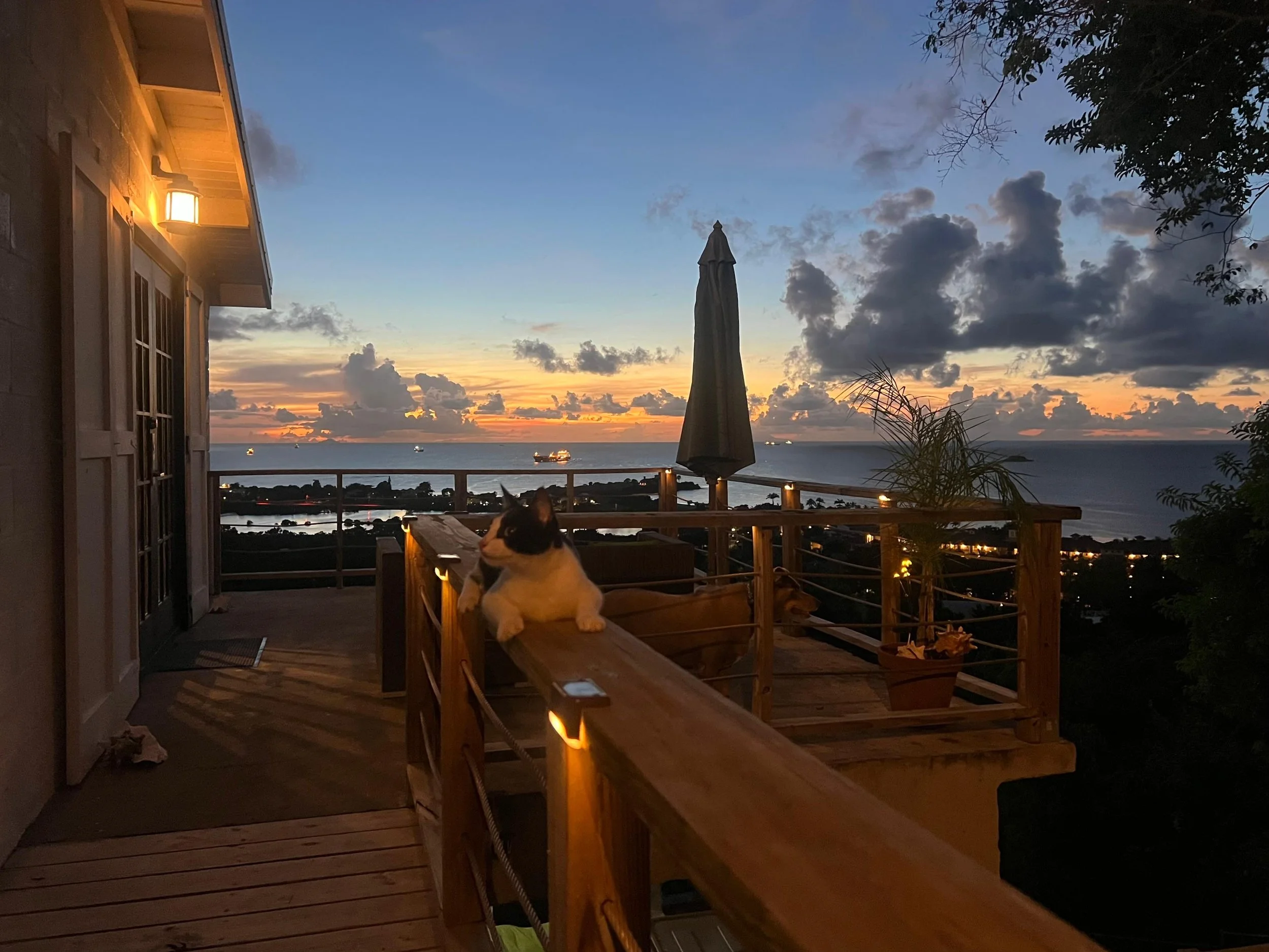 WhatsApp Image 2026-01-13 at 11.31.12 AM.jpeg