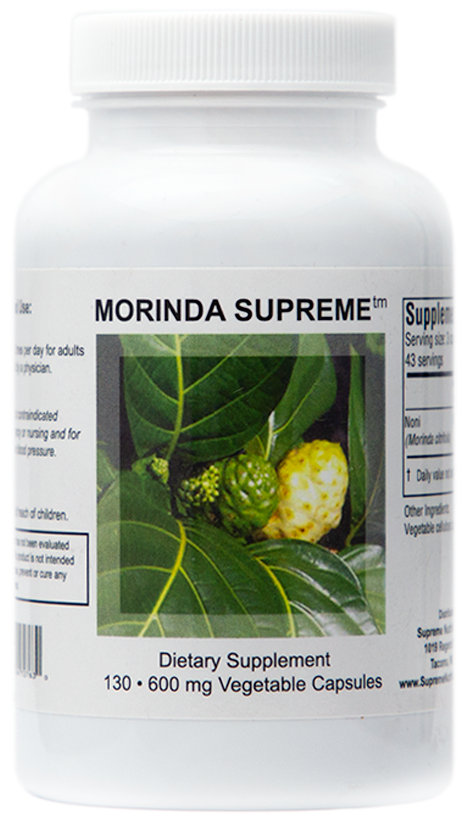 Morinda_on_white__75216.webp