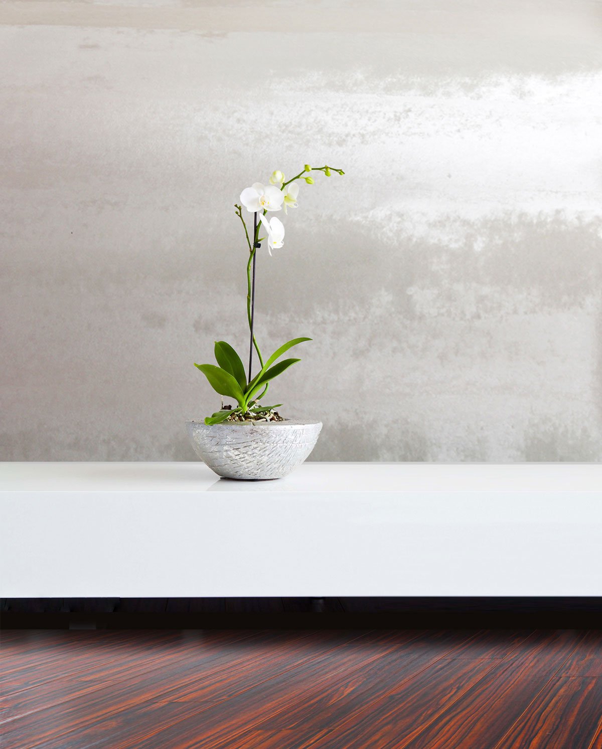  Stratus Salt  • SKU 14-0132 • Gently billowing clouds of mica plaster travel along the paper in this continuous stripe.