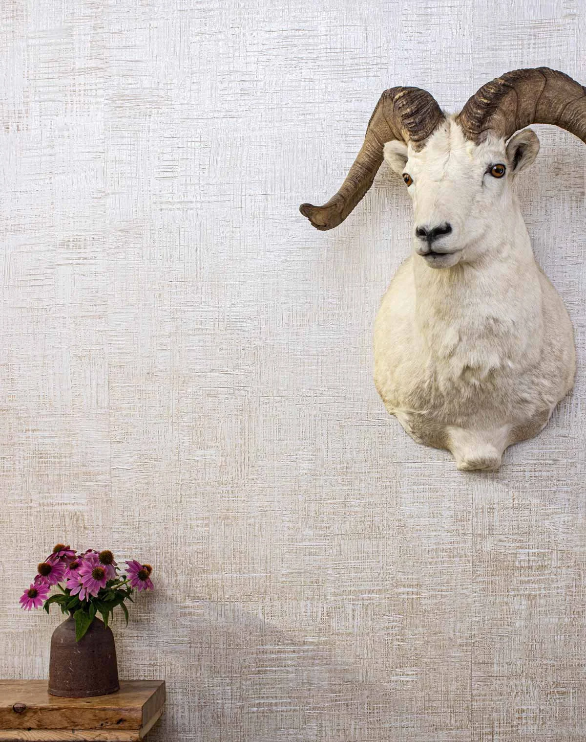  Hache Ash Gold  • SKU 16-0351 • Crosshatched textured plaster with lustrous metallic resin in the interstices.