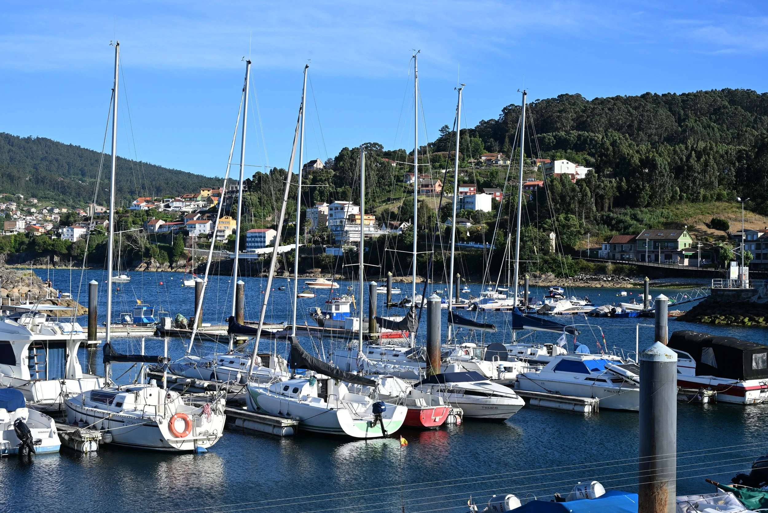 DSC_4904.JPG