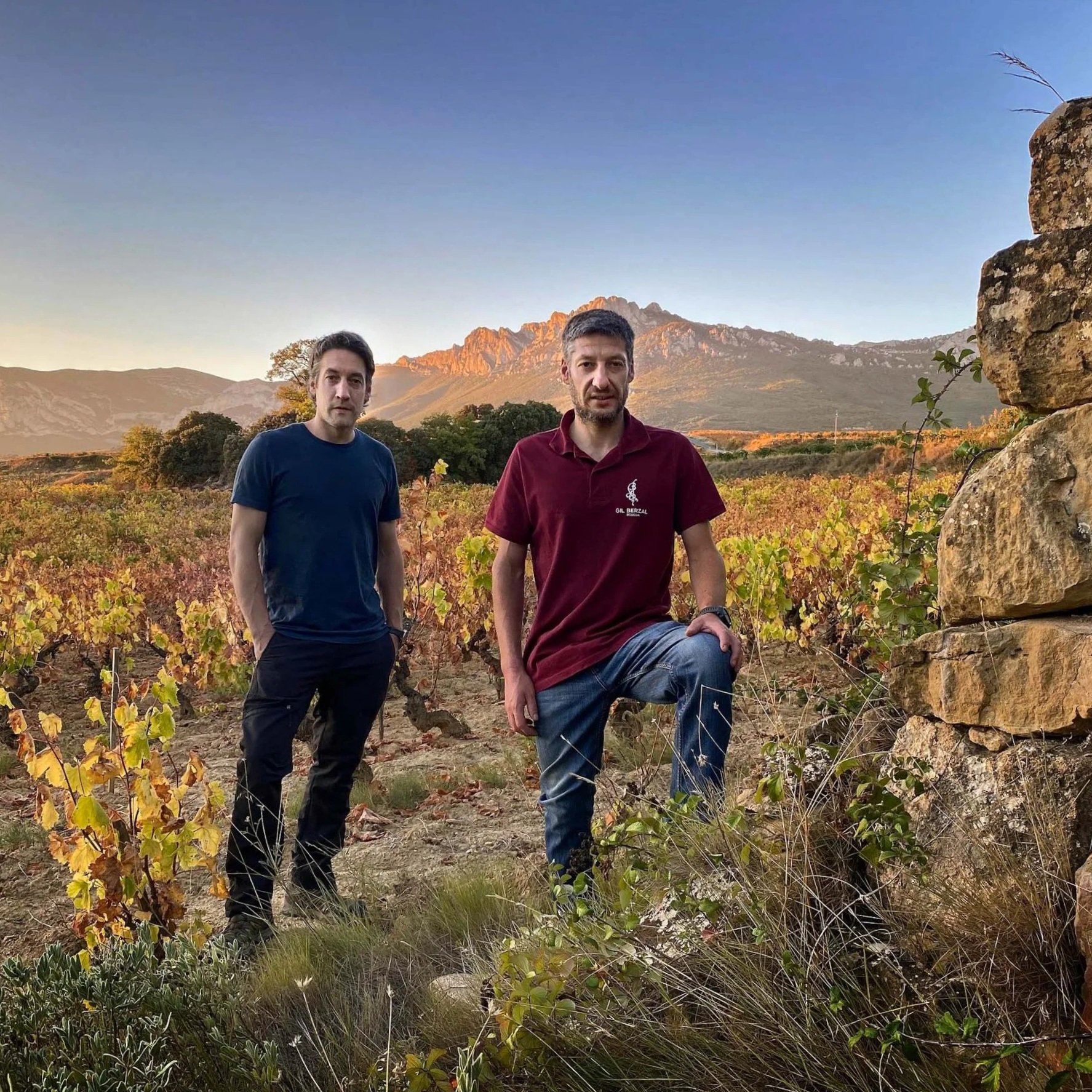 Gil Berzal • Laguardia • Rioja Alavesa