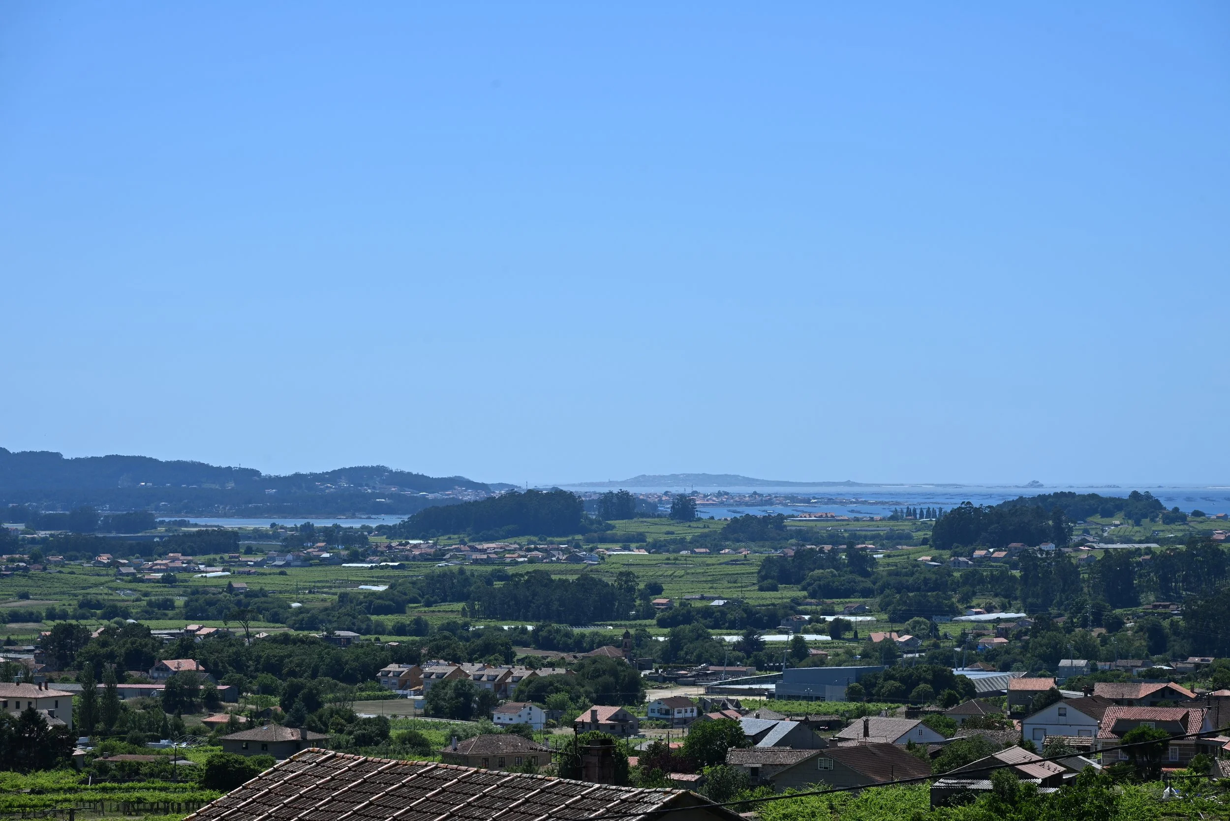 DSC_4639.JPG