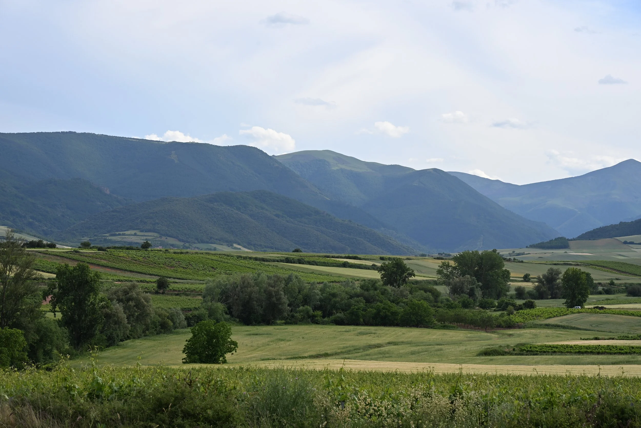 DSC_3912.JPG