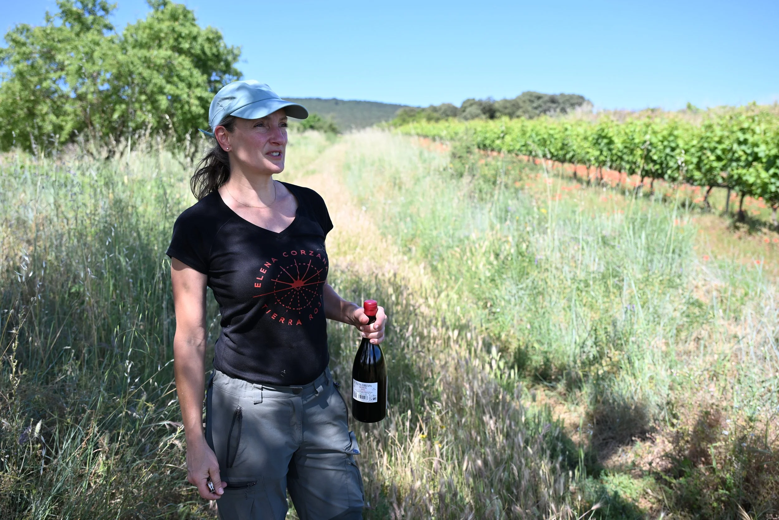 Elena Corzana Maturana Vineyard 