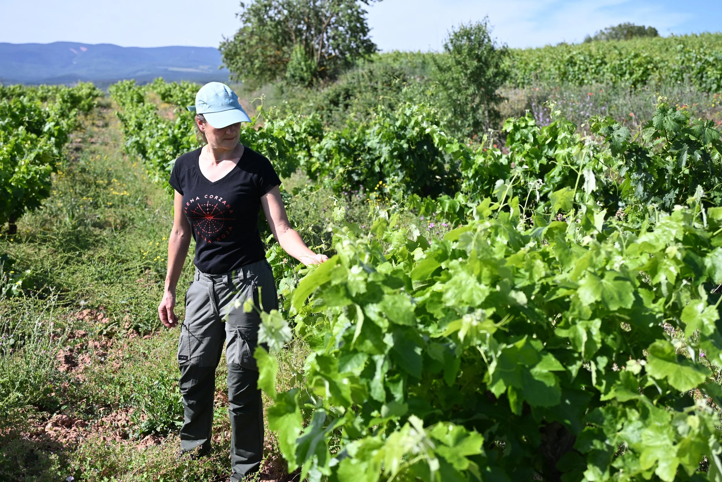Elena Corzana Naverrete Vineyard