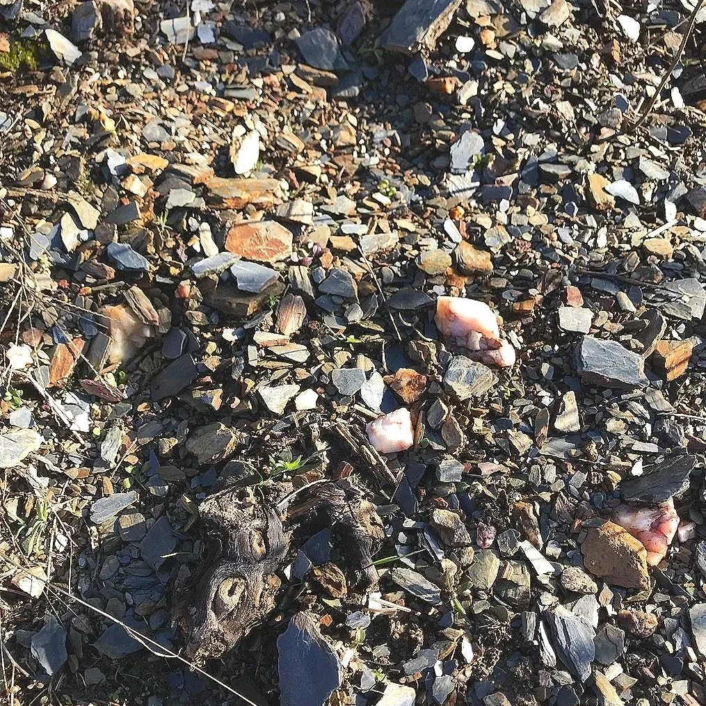 Valtuille Soil