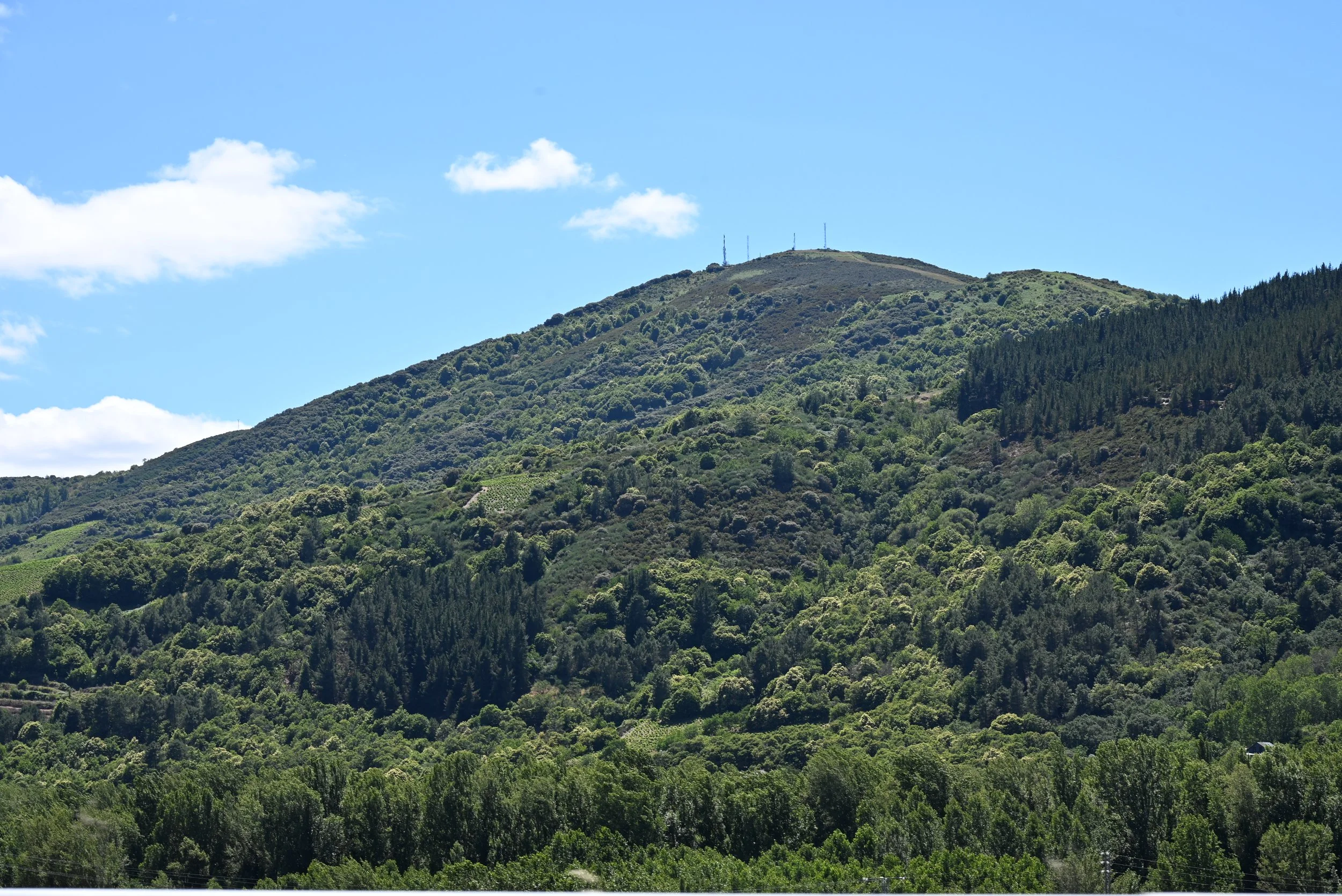 DSC_4376.JPG