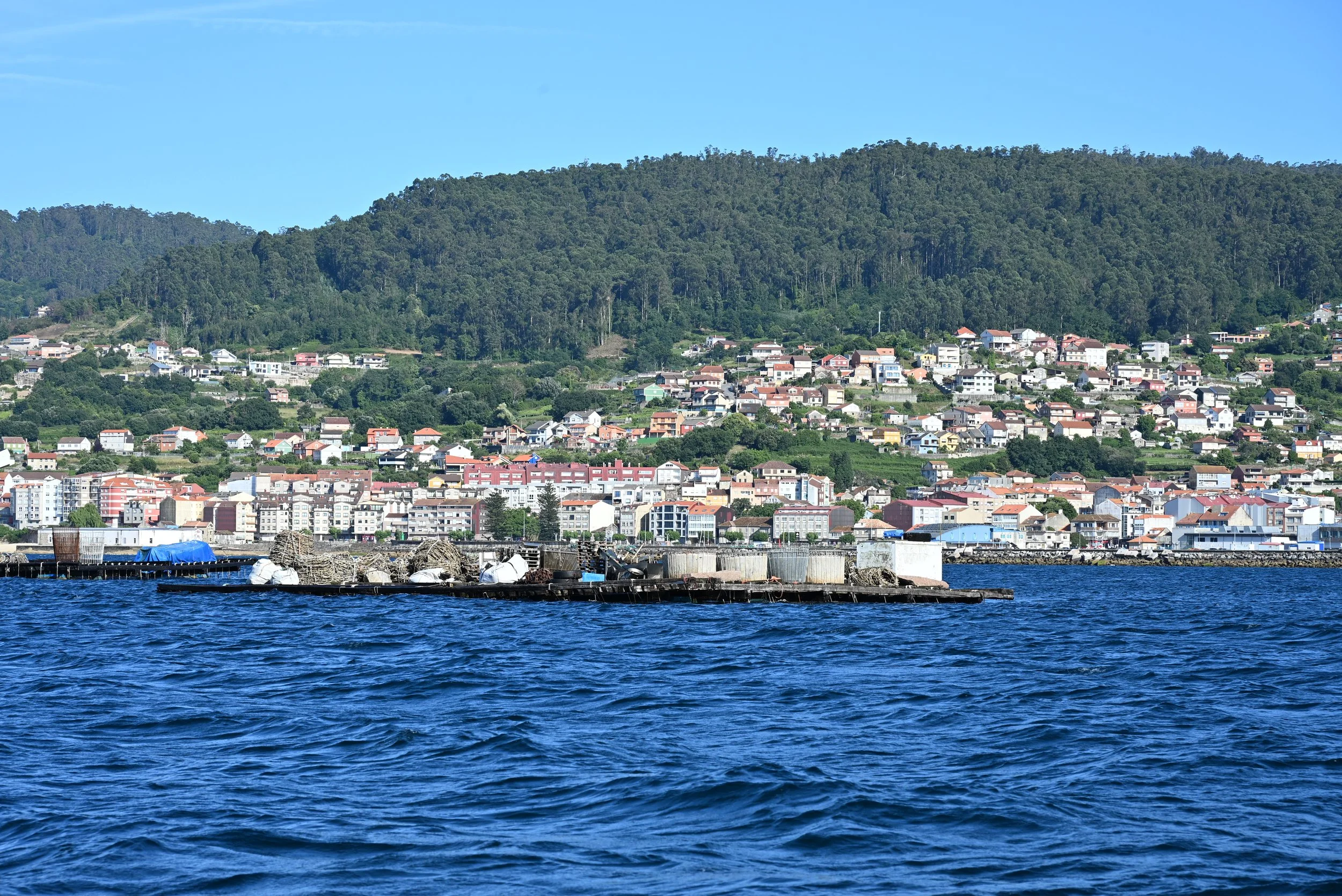 DSC_4860.JPG