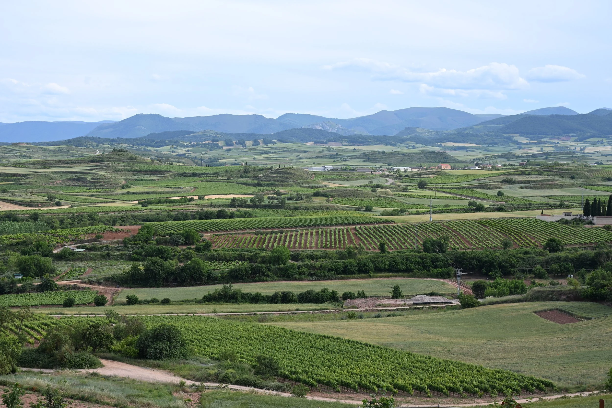 Cordovín Alta Najerilla Rioja