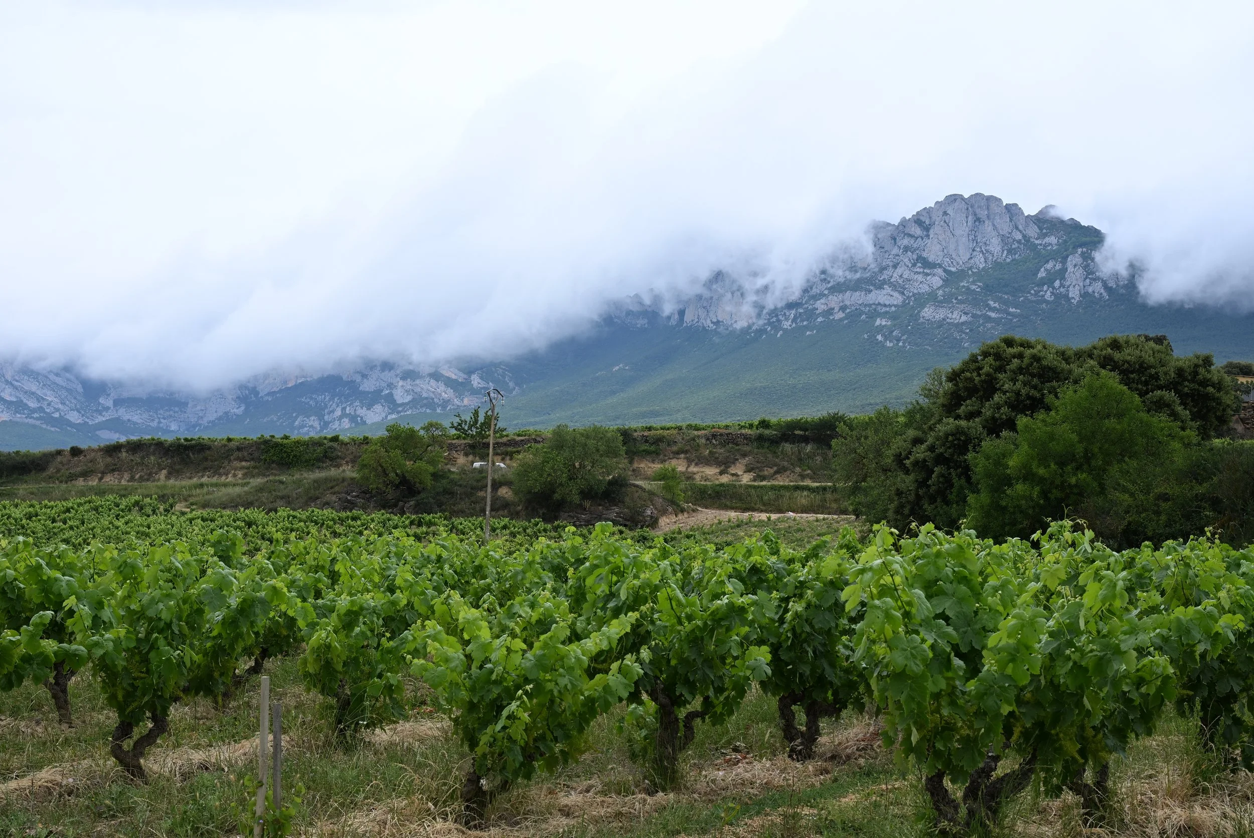 Laguardia Sierra Cantabria Mountains