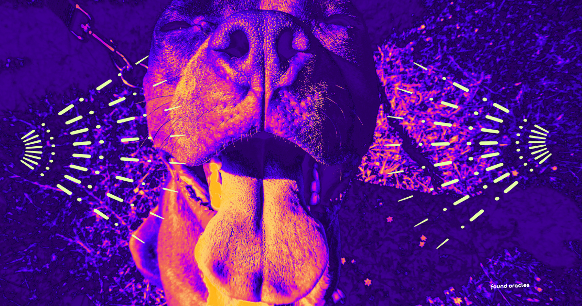 Purple, pink, and orange washed photo of a happy dog with his tongue out