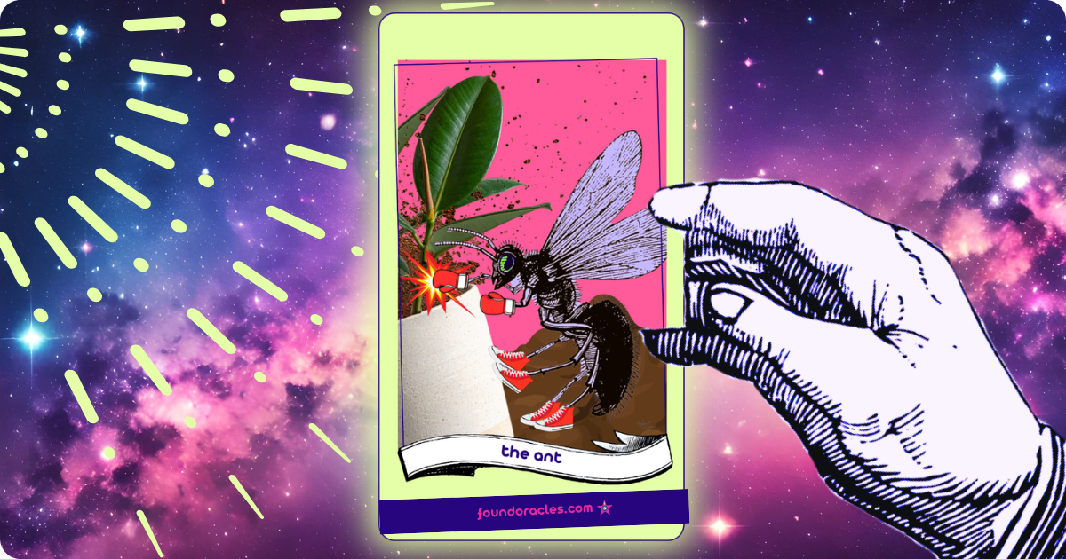 The Ant Oracle