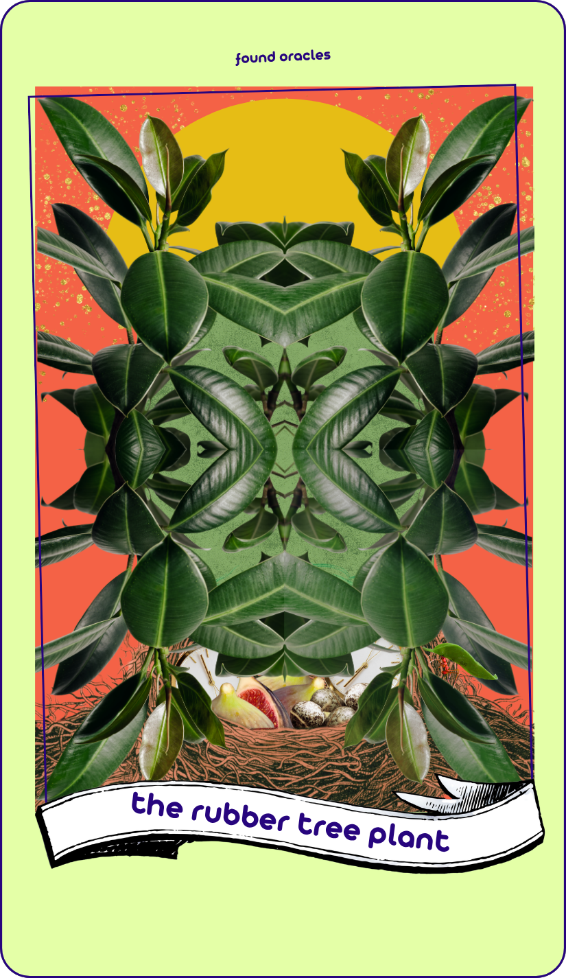 A collage art oracle card showing a face made of kaleidoscopic rubber tree plants, with a golden sun behind its crown and a nest hidden at its neck with figs and eggs and clocks inside. An antique scroll reads The Rubber Tree Plant. Found Oracles.