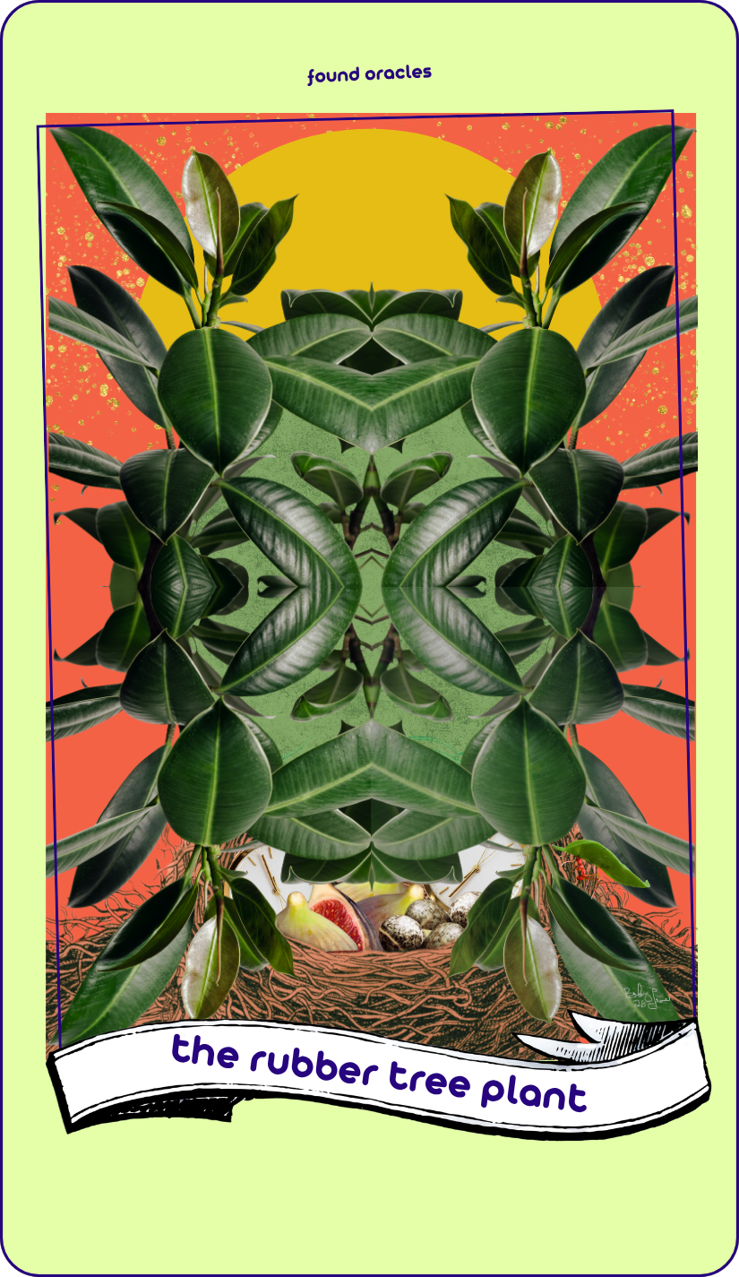 A collage art oracle card showing a face made of kaleidoscopic rubber tree plants, with a golden sun behind its crown and a nest hidden at its neck with figs and eggs and clocks inside. An antique scroll reads The Rubber Tree Plant. Found Oracles.