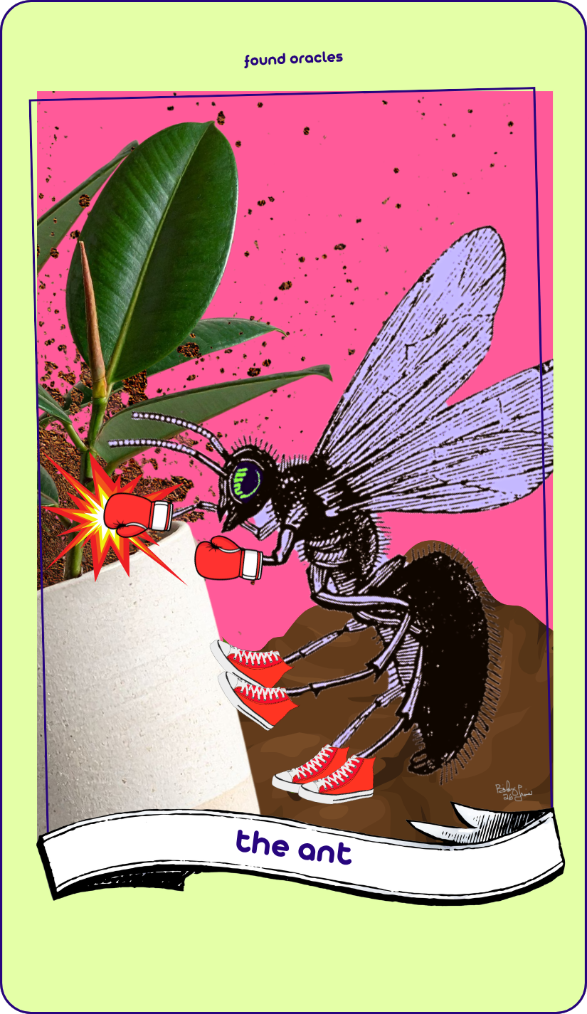 A collage art oracle card showing a winged ant wearing red high tops and boxing gloves, landing a punch on a rubber tree plant as dirt goes flying. An antique scroll reads The Ant. Found Oracles.