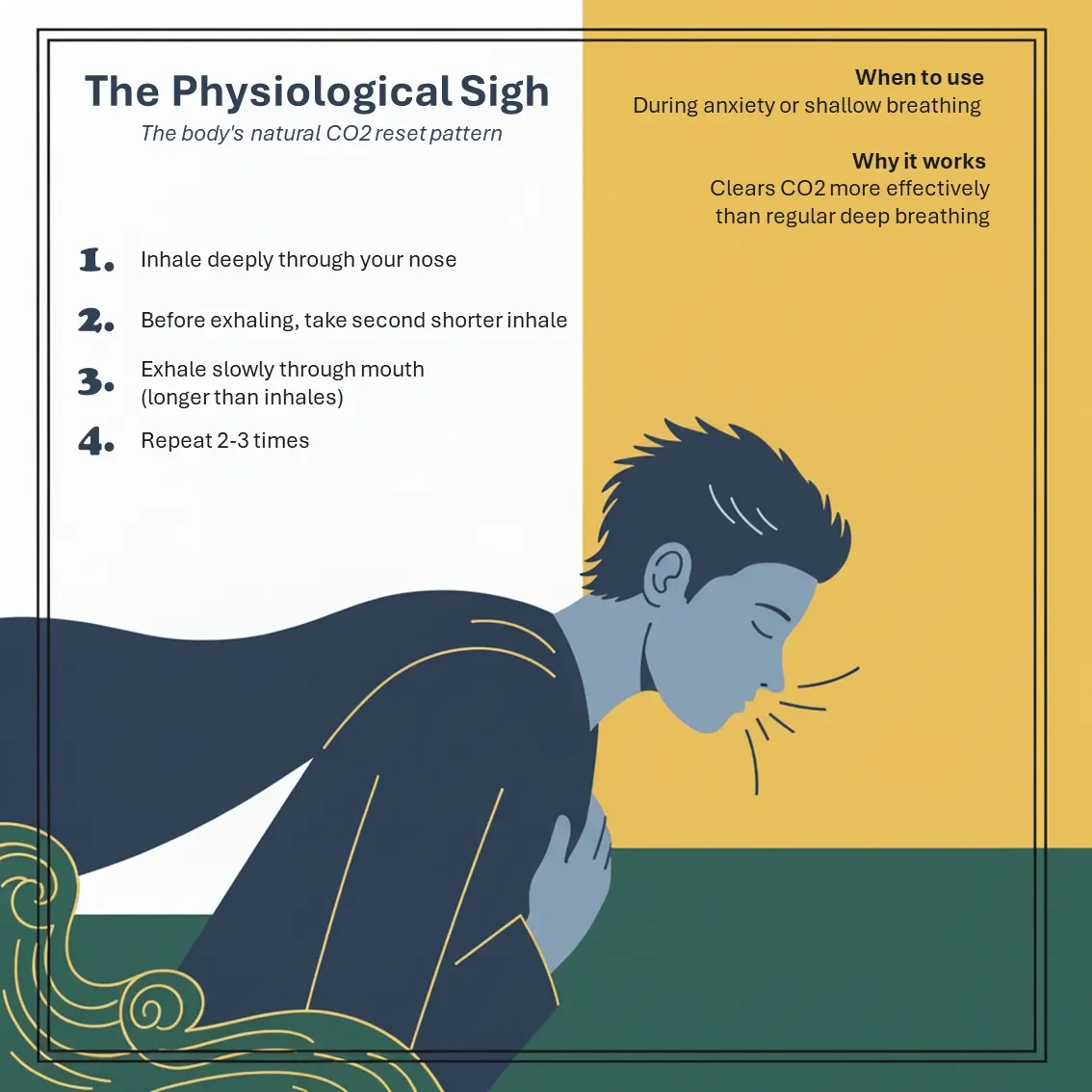 reset technique for calming anxiety. Toolbox. Tools. Learn. Framework for Growth and Building the Skills you need - Leadership - Science Backed Tools at Coulda Woulda for leaders, parents and humans.Nervous system.