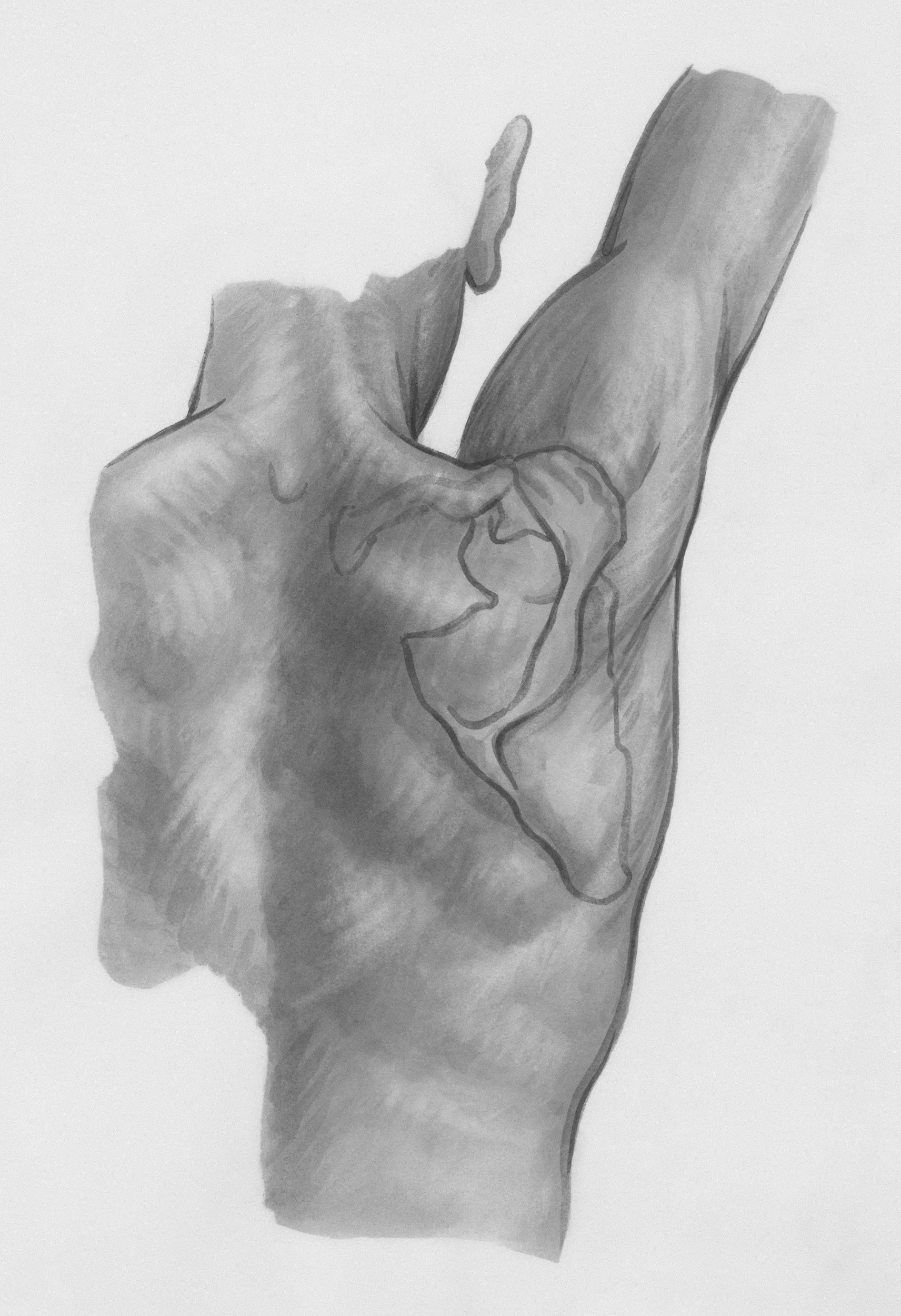 Shoulder Pain From Working Out: When to Rest and When to Get Help