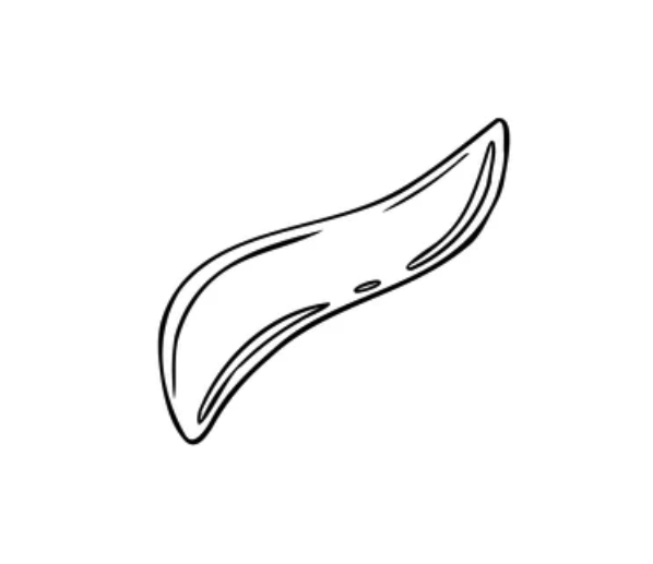 Metal scraper used for IASTM Soft Tissue Therapy