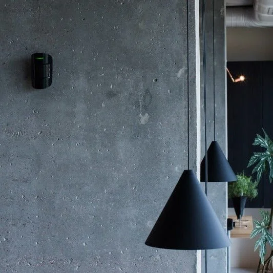 Interior view of a modern space with a textured concrete wall, black pendant lights, and a plant with large green leaves.