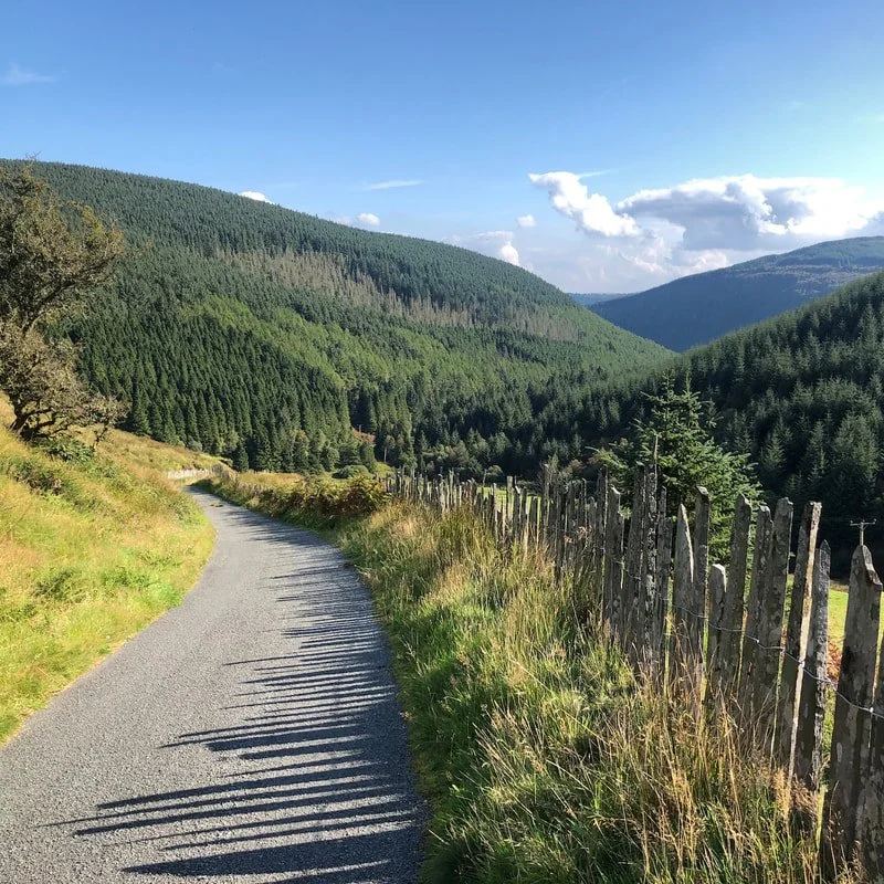 Big hill day, but this road was so quiet and lovely I was actually sorry when the day (Llanidloes to Dolgellau) was over.
