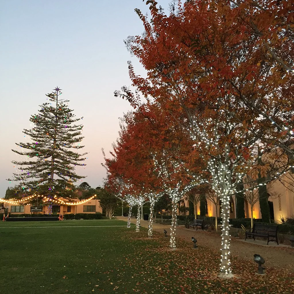 Happy Holidays from Anneville!