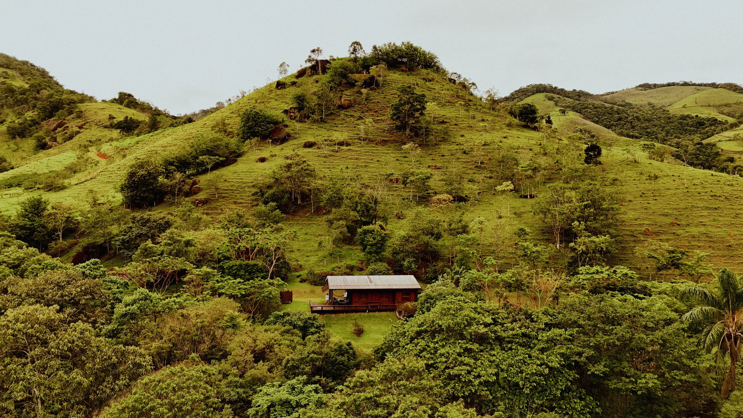 Cópia de DJI_20250203203823_0389_D.jpg