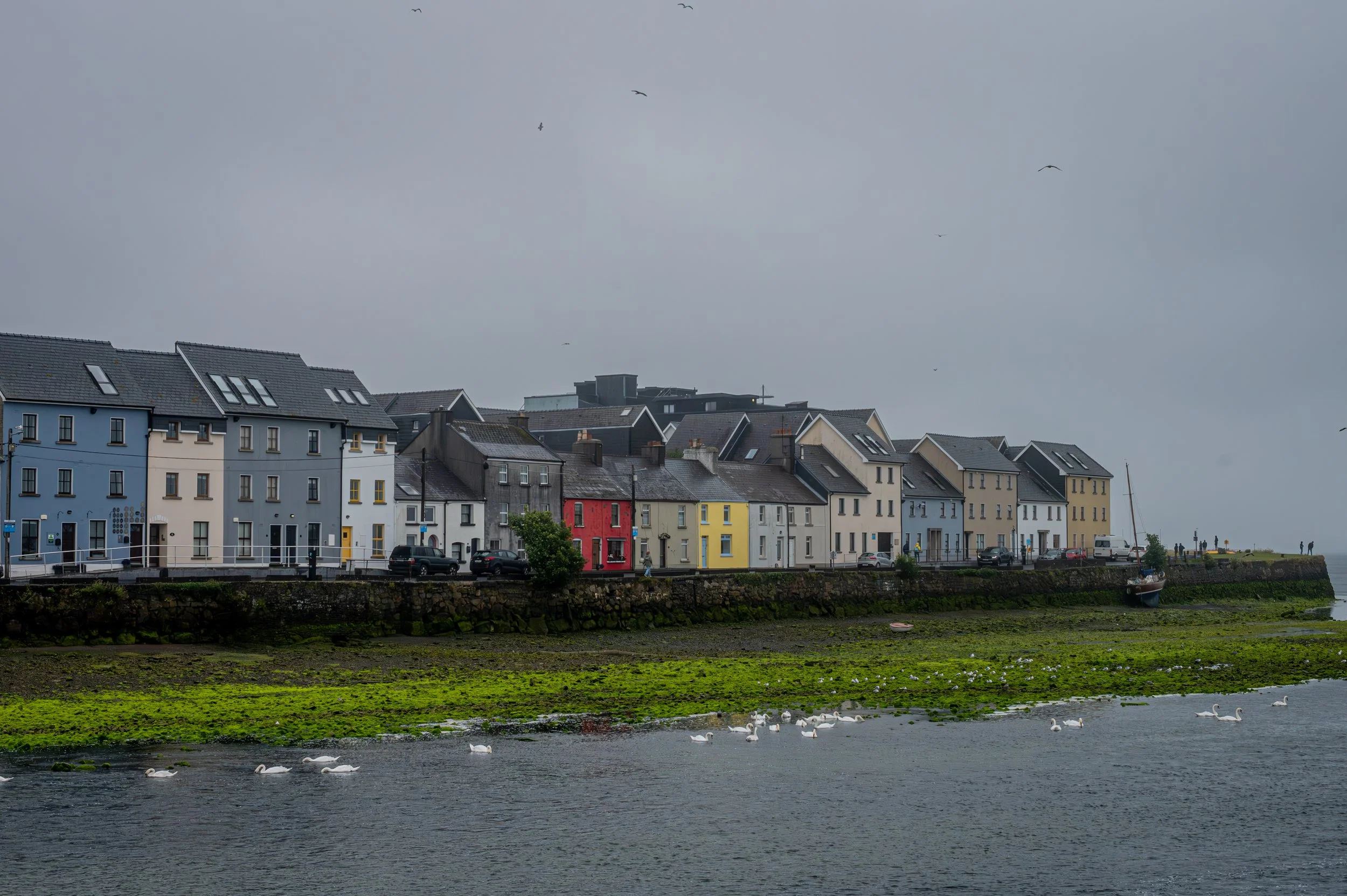 Galway