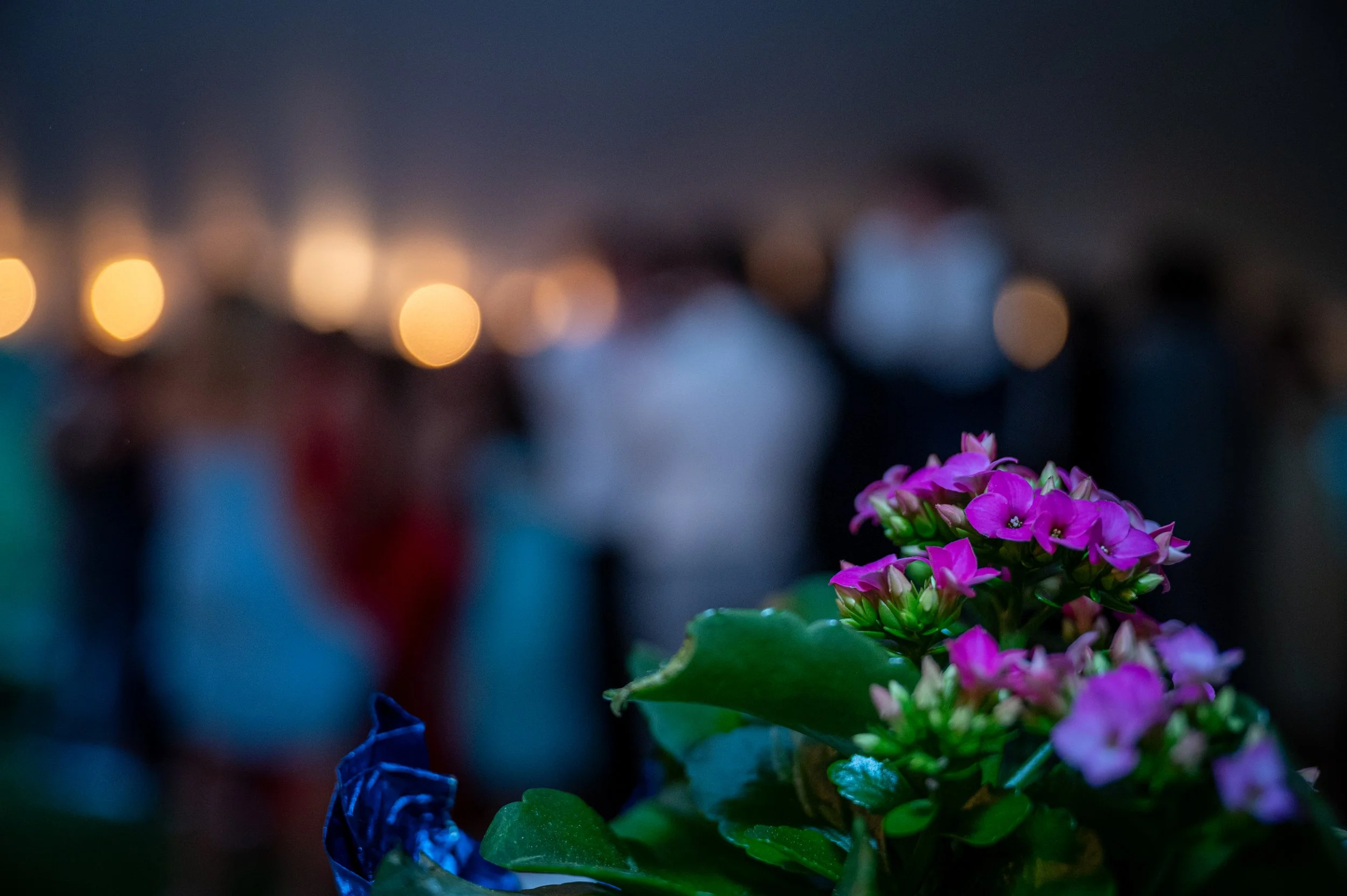 Jr Prom YOG 2026 5.9.25-3149.jpg