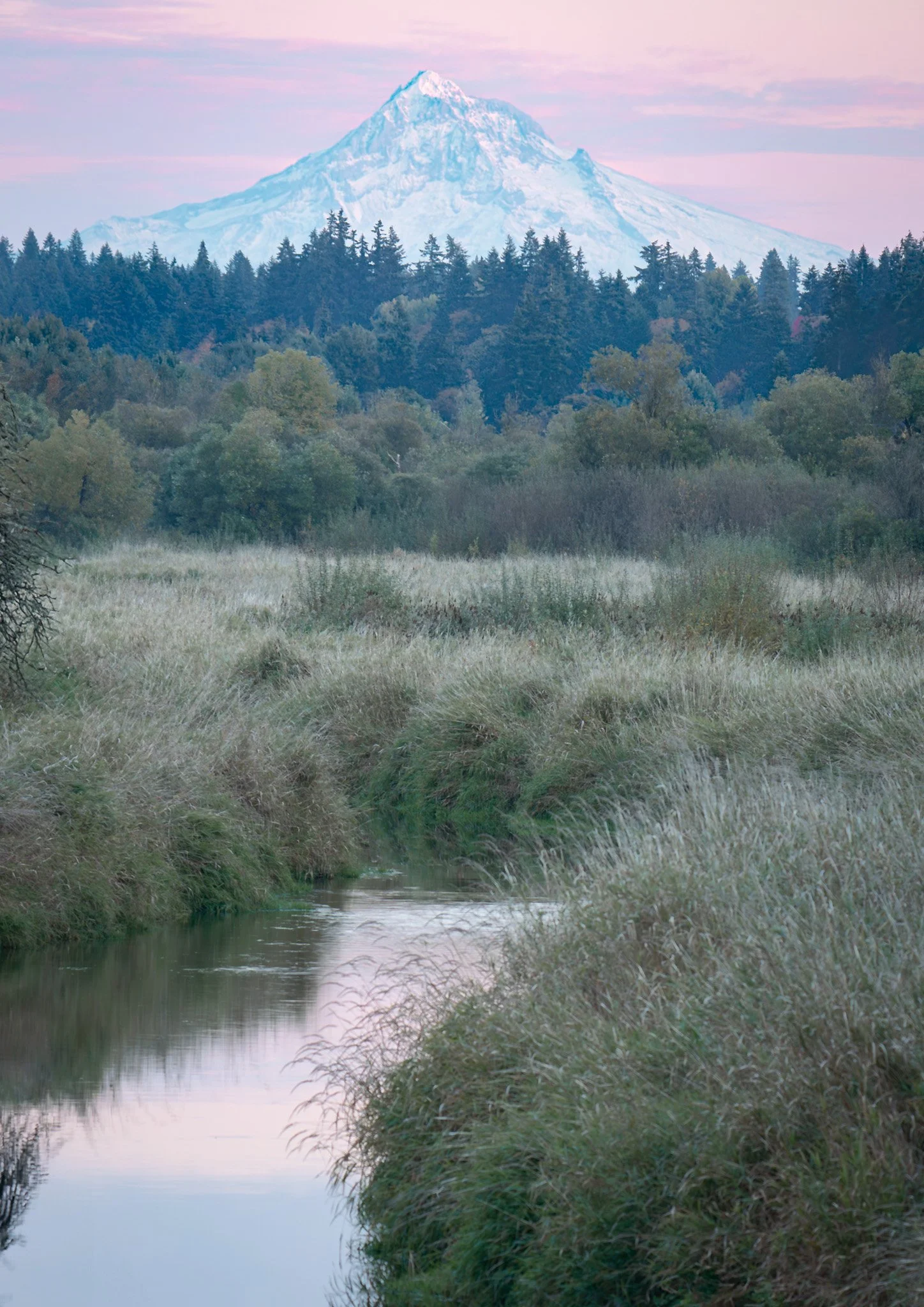 A mountain, likely Mount Hood, snow-capped, seen from a lush green landscape with a small river running through tall grass, under a pink and purple sky.