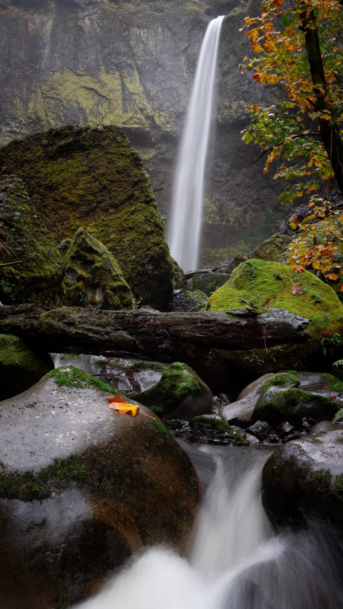 A waterfall cascading down a cliff surrounded by moss-covered rocks and trees with orange and green leaves, with a stream flowing over rocks below.