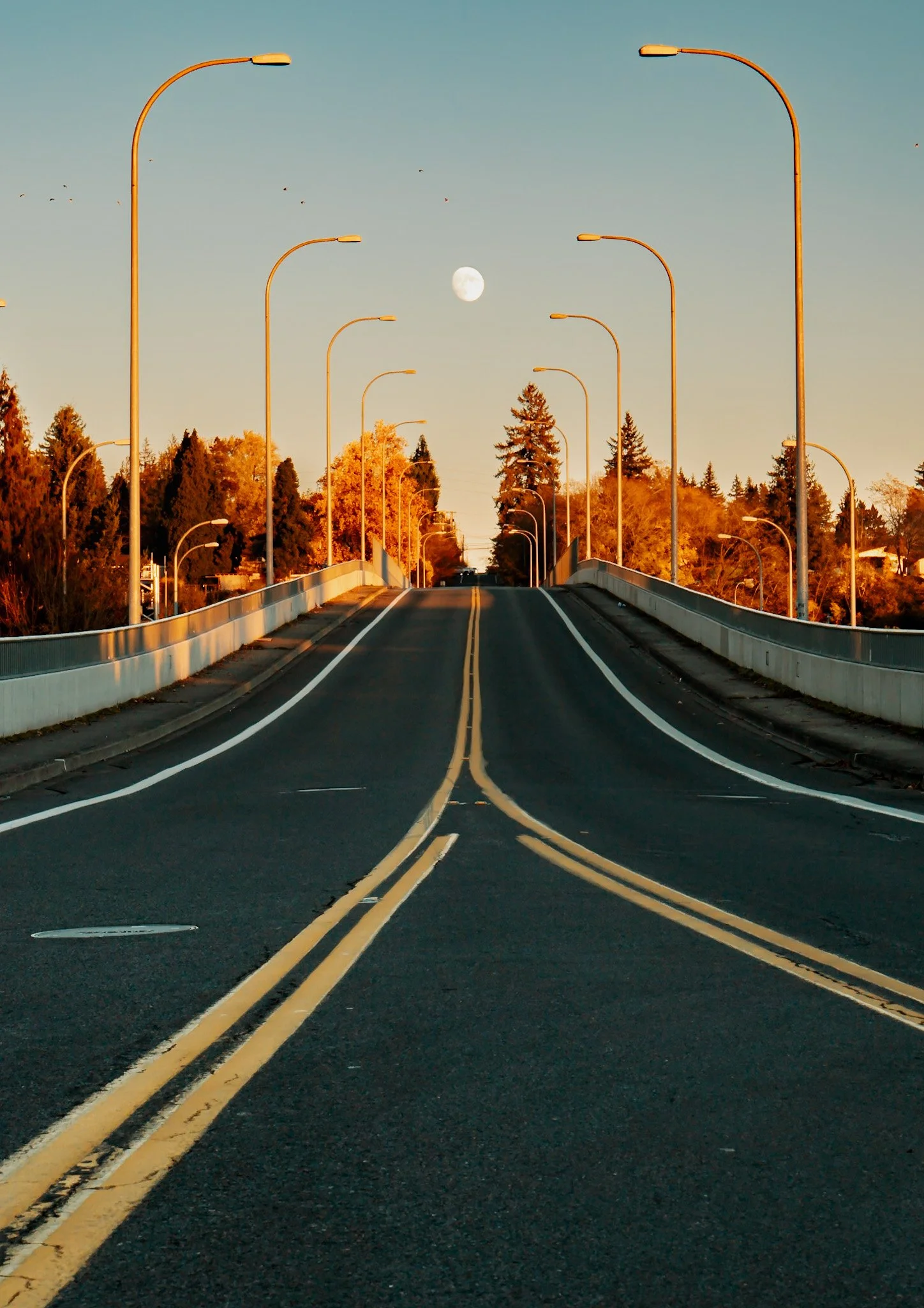 A bridge with streetlights and double yellow lines, leading to a tree-lined area under a clear sky with a visible moon.