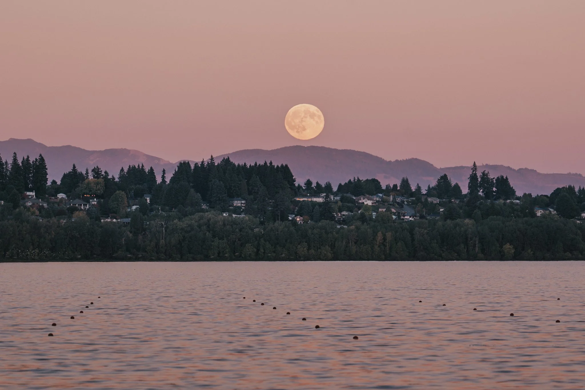 Full moon rising over a landscape of trees and houses on a hillside near a body of water