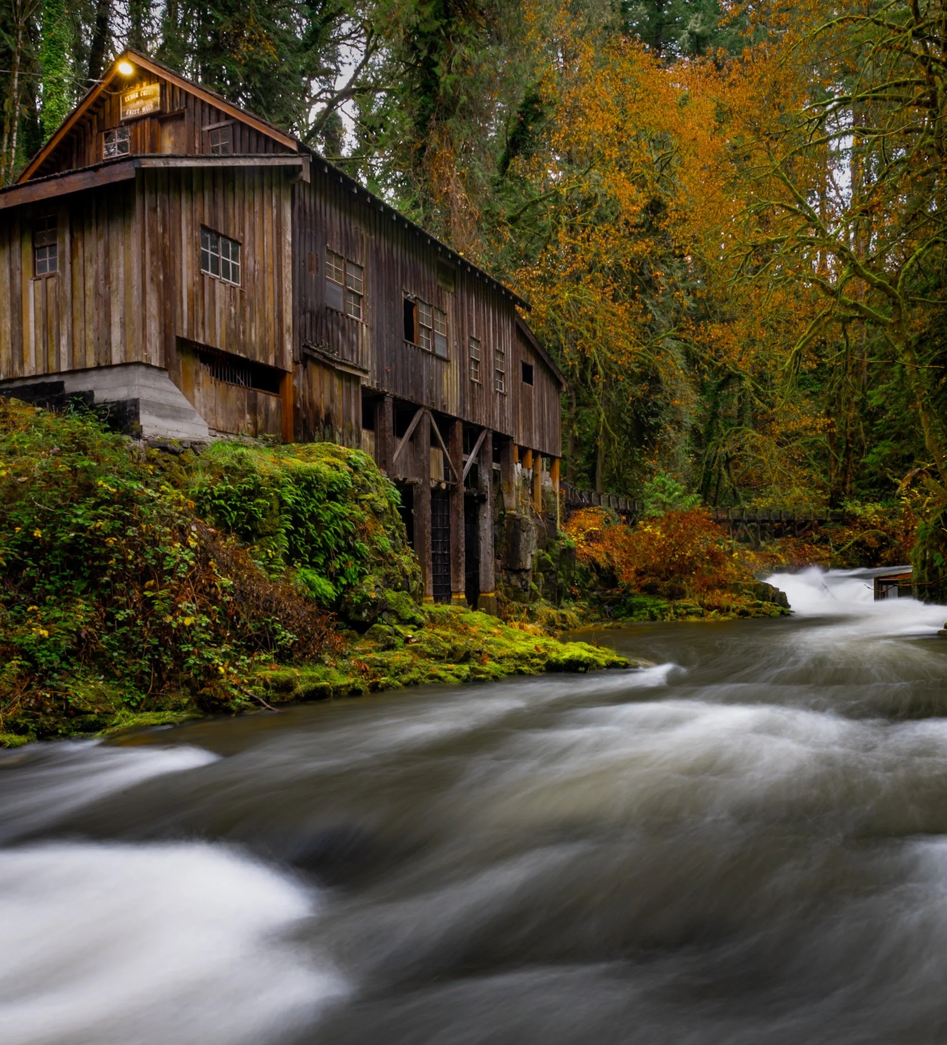 An old wooden building sits on stilts next to a flowing river, surrounded by lush green moss and trees with autumn foliage.