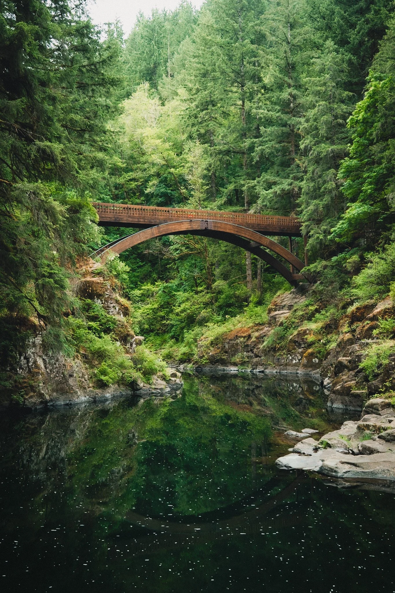 A wooden arched bridge over a reflective river in a dense green forest.