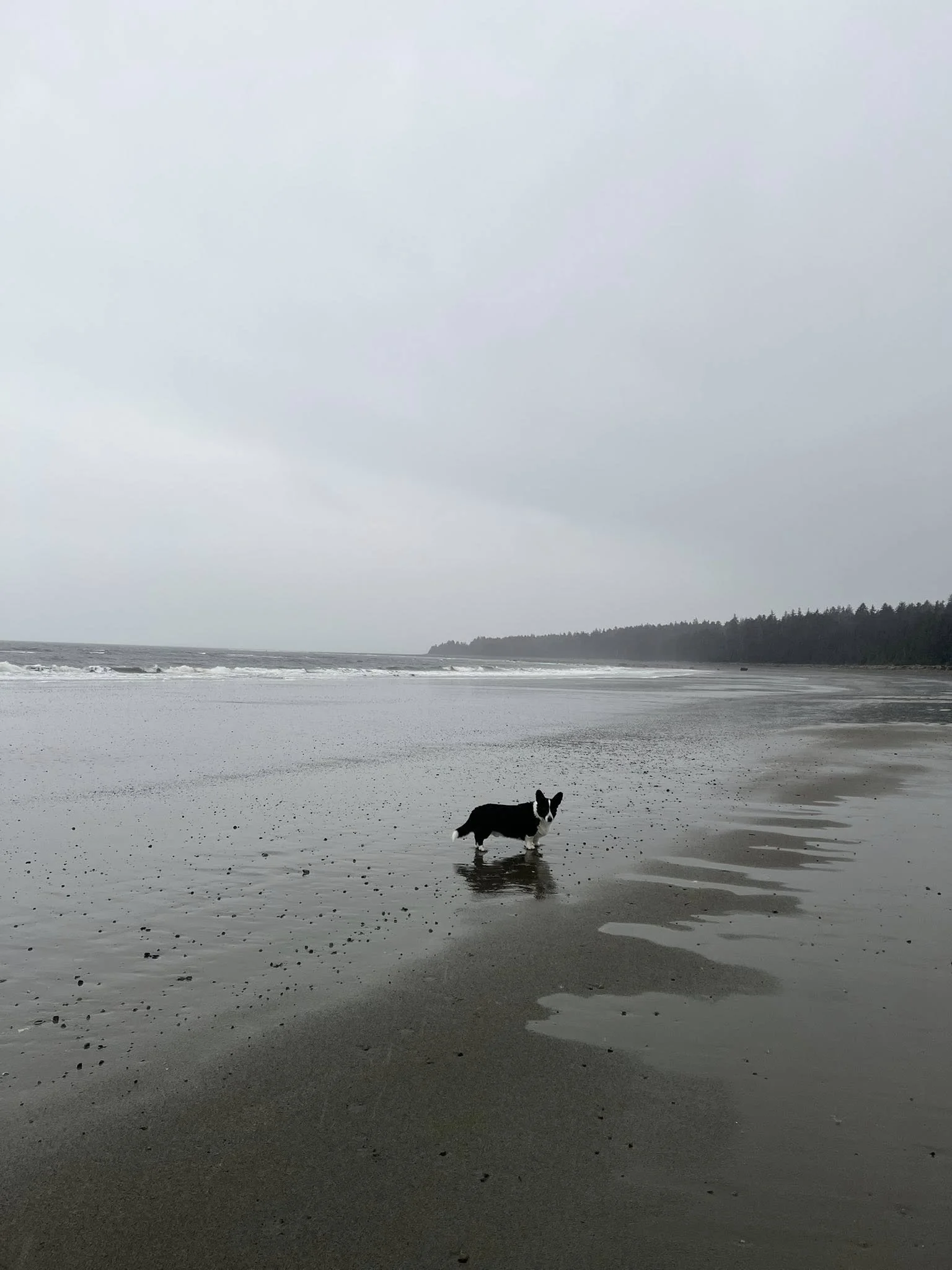 Field Notes: On Care, Prevention, and What We Carry