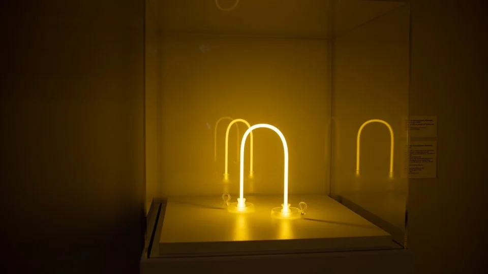 01_VICTORIA_AHMADIZADEH_MELENDEZ_PHOTO BY MICHAEL VALIQUETTE.jpg