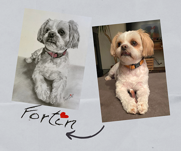 Une photo d'un dessin au crayon d'un chien, et une photo de ce même chien réel, un petit chien blanc avec des oreilles tombantes, assis sur le sol, portant un collier orange.