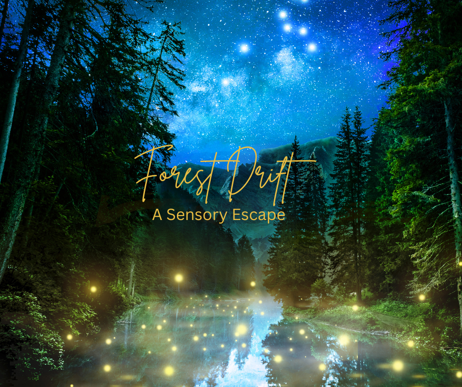 Forest Drift A Sensory Escape