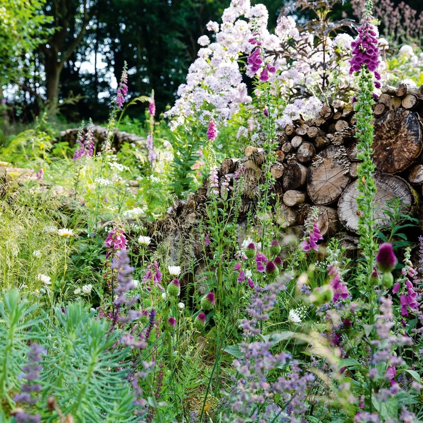 I was pretty shocked to hear Nigel Dunnett had passed away yesterday... only this last week i started reading his book 'Naturalistic Planting Design' as his work is the inspiration for my latest garden design project. Such a sad day for the horticult