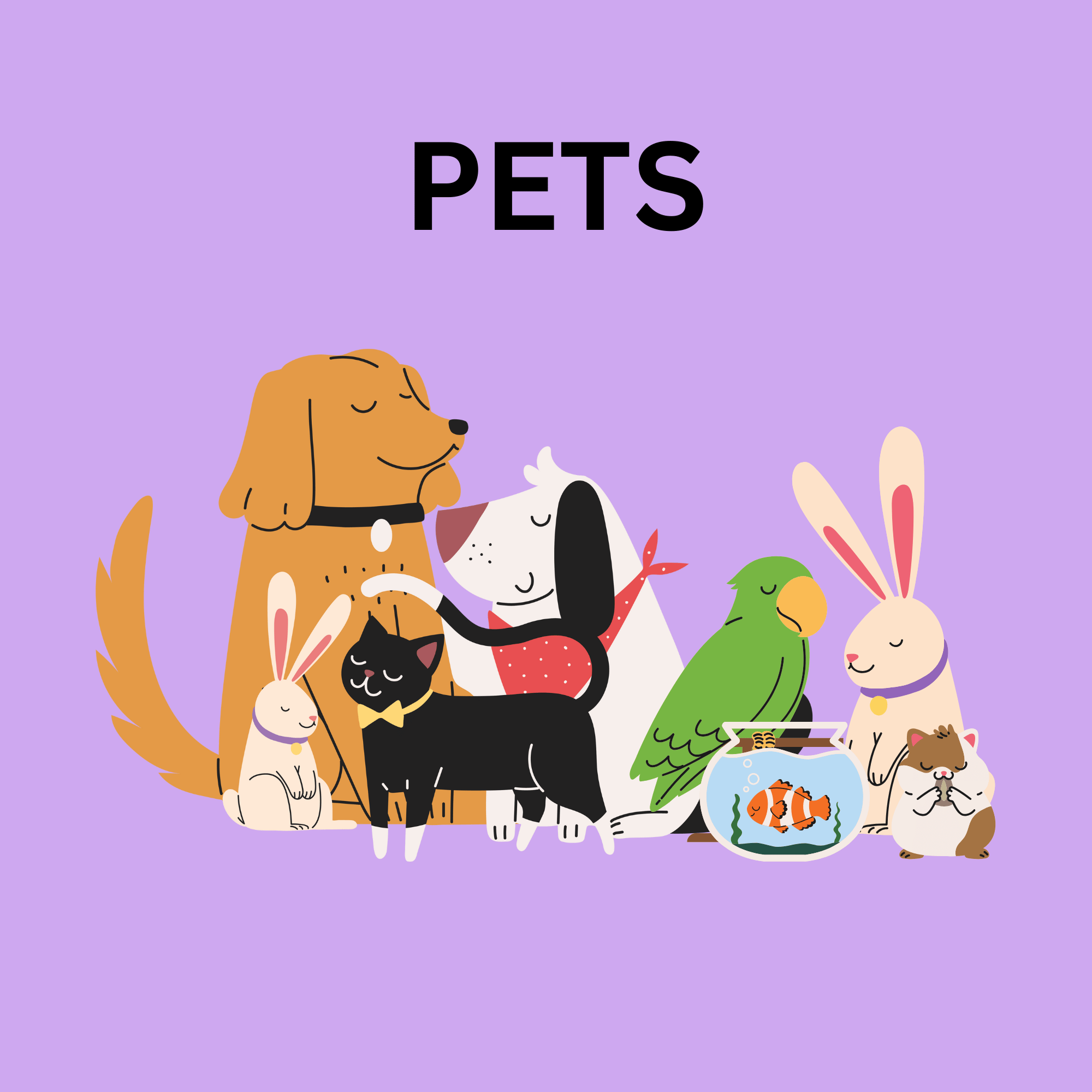 Week 6: PETS July 20th-24th
