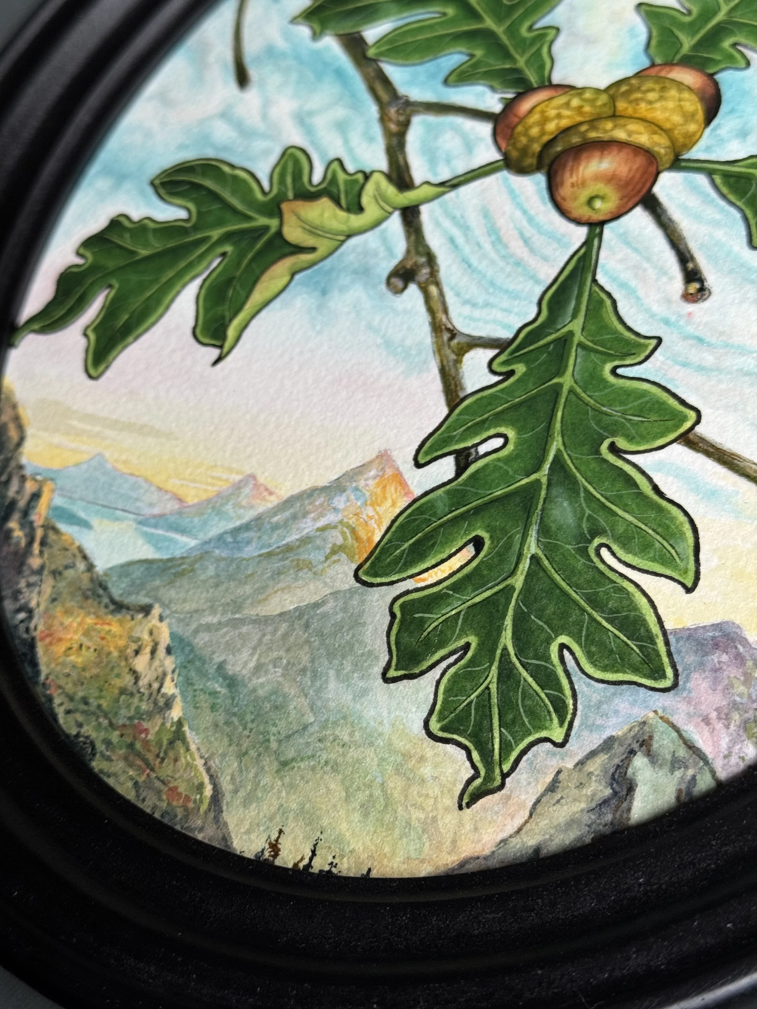 Close-up of a colorful watercolor painting of an oak tree with acorns, mountains in the background, and a blue sky.