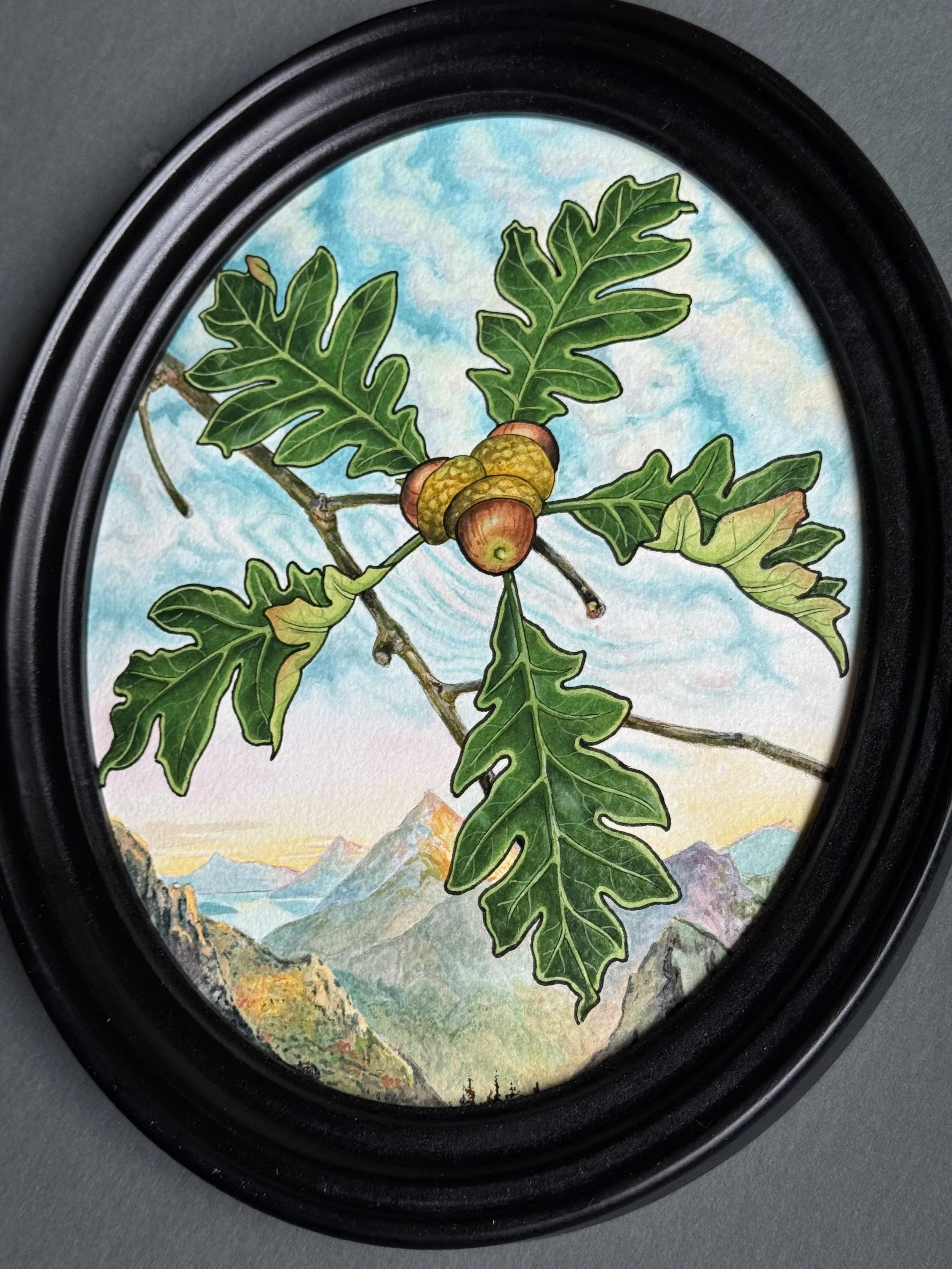 Painting of a branch with green oak leaves and acorns, with mountains and sky in the background, framed in an oval black frame.