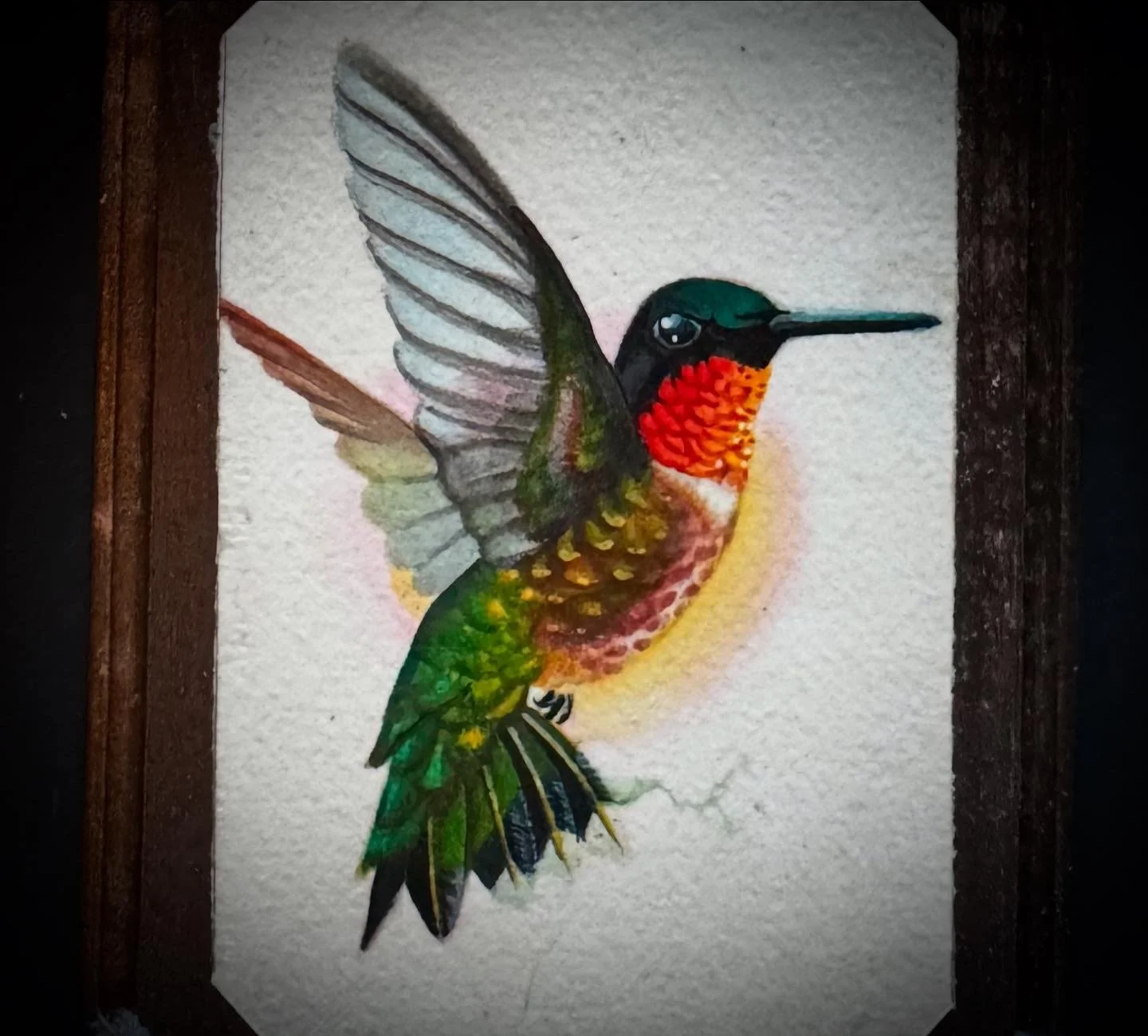 BIRDS Ruby-throated Hummer